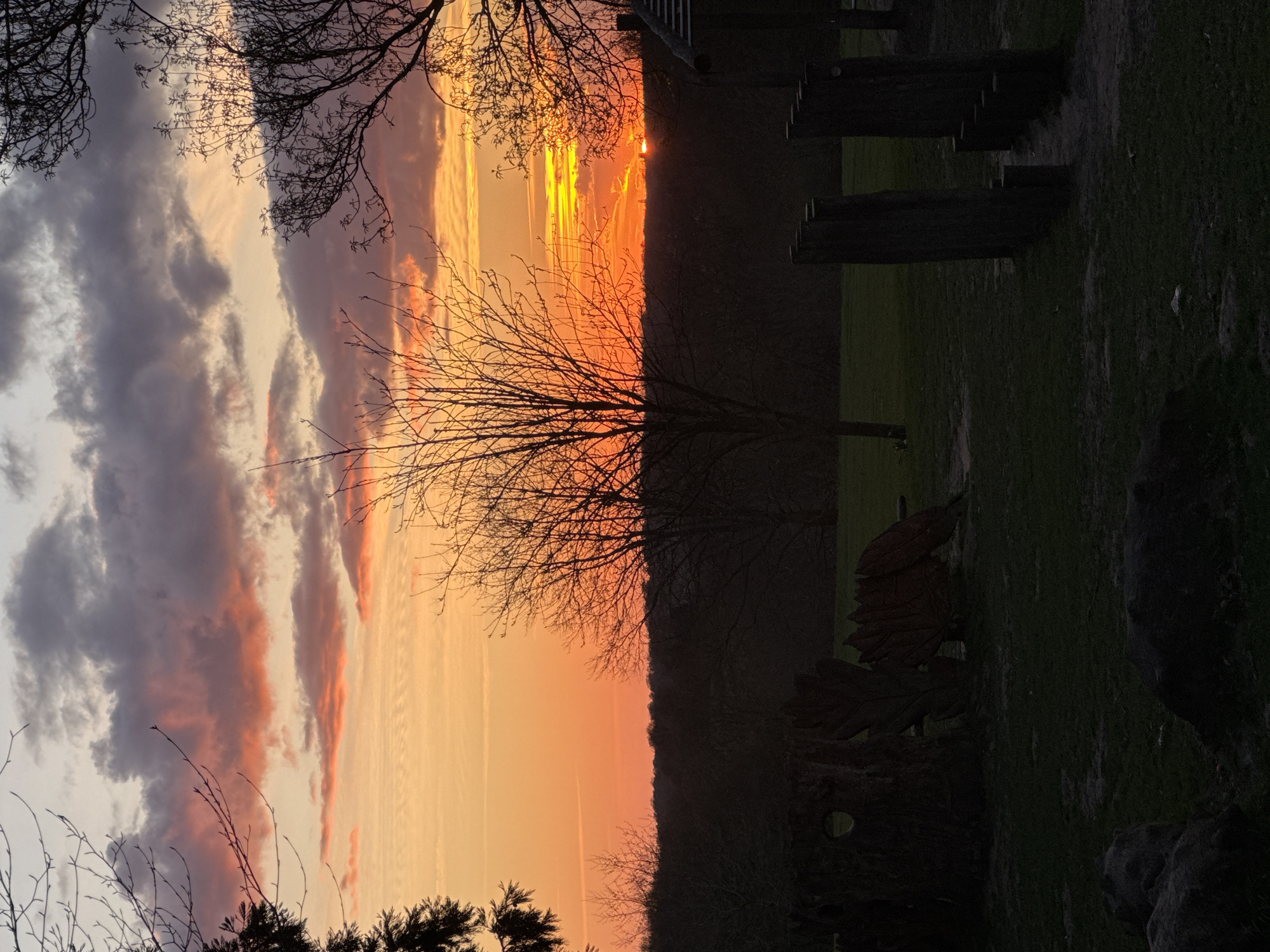 The image captures a sunset scene. The sky is a mix of orange, yellow, and pink hues, with some dark clouds visible. Bare tree branches are silhouetted against the sky. The sun is partially obscured by a dark tree line in the distance. A grassy area is in the foreground with what appear to be wooden posts or structures on the right side. The location is not possible to identify as London, United Kingdom.