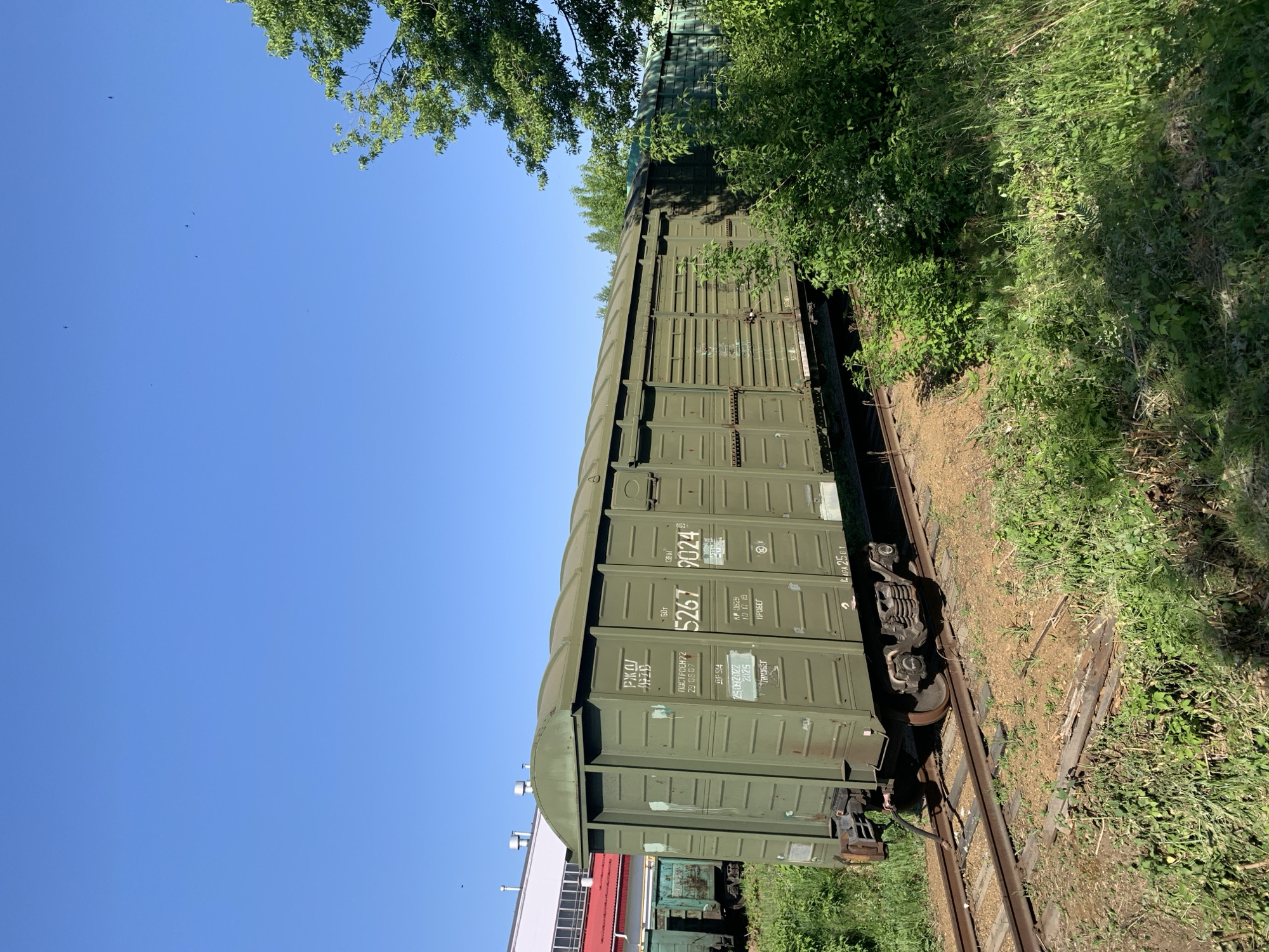 The image depicts a green railcar on a section of track, partially obscured by vegetation. The railcar is marked with the number "5267 9024" and various Cyrillic inscriptions, indicating its Russian origin. The OCR text indicates that the railcar was constructed on 29.06.07. The environment appears to be a somewhat overgrown siding, with trees visible above and vegetation flanking the track. Based on the OCR text, the railcar is likely located in Russia. However, the specific location within Chaikovsky, Russia cannot be determined solely from the image.