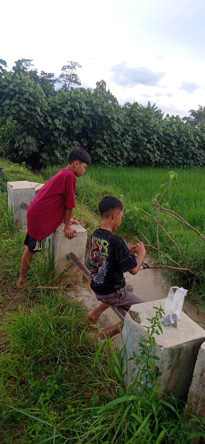 This image depicts two young boys in a rural, outdoor setting, likely in Pubian, Indonesia. The scene features lush green vegetation, including a vibrant rice paddy field to the right and dense trees in the background. Above, a partly cloudy sky is visible.

On the left, a boy wearing a maroon t-shirt and dark shorts leans with his hands on a concrete block, looking towards the right. His bare feet are visible. On the right, another boy is crouched on a concrete block next to a muddy water channel. He wears a black t-shirt with a colorful graphic design on the back, featuring text that includes "MONSTER", and grey shorts. He is also barefoot and appears to be focused on manipulating something in the water with his hands. A small transparent plastic bag, possibly containing bait or small items, rests on the concrete block beside him. Branches are visible in the shallow water.

The concrete blocks suggest an existing irrigation system or pathway within the agricultural landscape. The natural lighting indicates it is daytime, possibly late afternoon. The boys seem to be engaged in a quiet, leisurely activity in their natural surroundings.