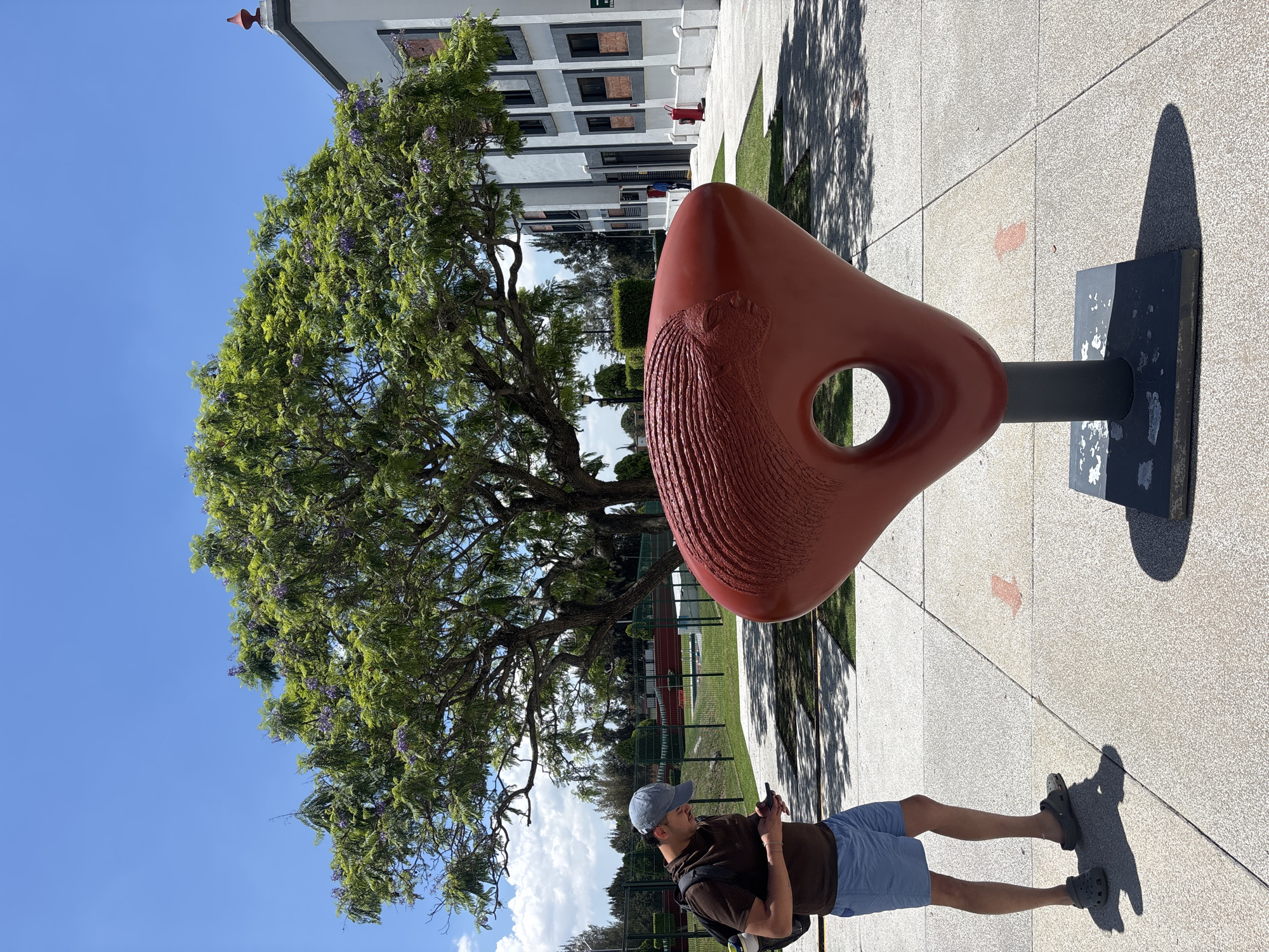 The image shows a man standing in front of a large, red sculpture that resembles a nose in San Andrés Cholula, Mexico. The sculpture is mounted on a metal pole and stands on a dark, rectangular base. The man is wearing a brown shirt, blue shorts, a blue baseball cap, and dark shoes. He is looking down at a mobile phone in his hands. Behind the sculpture is a large tree with green foliage and purple flowers. In the background, there is a building with multiple windows and a red fire extinguisher box visible on the exterior wall. The ground is paved with light-colored stones or tiles, and there are faint, red arrow markings. The sky is blue with some white clouds.