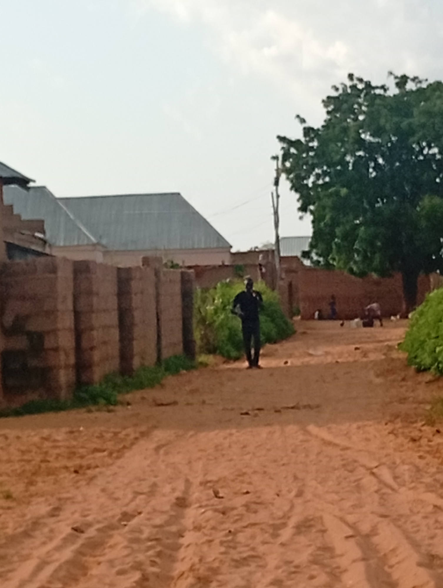 In Tumfure, Nigeria, a dirt road leads through a residential area. The road is uneven with tire tracks visible. On the left, a low wall constructed of stacked brick blocks runs along the side of the road, with some green vegetation growing at its base. Behind the wall, buildings with metal roofs are visible. On the right side of the road, there is more dense green vegetation. A single person wearing dark clothing is walking on the road, facing away from the camera. Further down the road, in the background, a large tree with dark green foliage stands on the right. Behind the tree, a brown wall is visible, and in front of it, several people are gathered, some of whom appear to be children. There are some objects on the ground near the people in the background, possibly buckets or containers. The sky above is overcast with some light clouds.