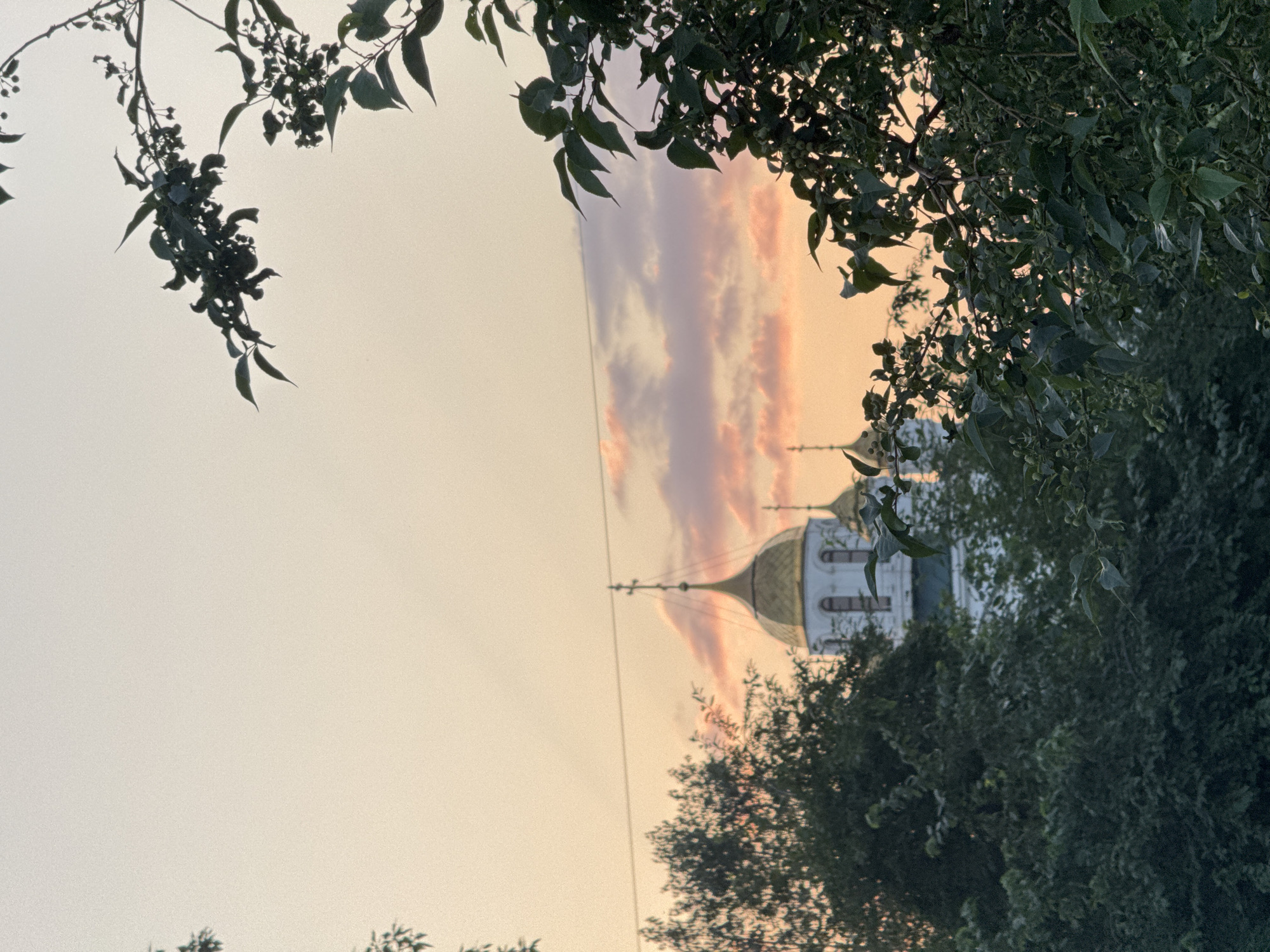 This image depicts a tranquil scene at dusk, with the sky painted in soft hues of peach and lavender. In the distance, the golden domes of a church, likely the Holy Trinity Cathedral in Krasnoyarsk, Russia, are visible, their spires reaching towards the heavens. The church is partially obscured by the lush, dark green foliage of trees in the foreground, framing the religious edifice like a natural archway. The leaves of these trees are detailed, with some bearing small, unripened berries, suggesting it is late spring or early summer. The overall impression is one of serene beauty, with the natural world and a place of worship coexisting harmoniously under the fading light.
