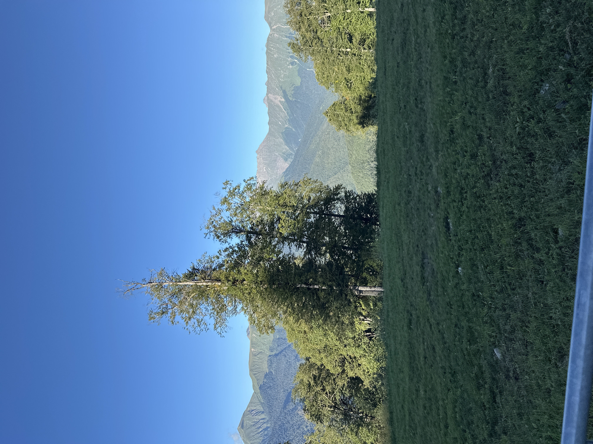 This is an outdoor, eye-level, full shot photograph taken in Estosadok, Russia. The image shows a vast landscape of rolling green hills with lush trees and majestic mountains in the distance. The sky is a clear, bright blue, with no clouds visible. The foreground consists of a grassy slope, with a metal railing at the bottom of the frame. The middle ground is dominated by a dense forest of green trees, with a few taller, more prominent trees in the center. The background features a series of layered mountains, their peaks sharp and defined against the horizon. The lighting suggests it is daytime, likely early morning or late afternoon due to the soft shadows and clear visibility. There are no people or animals present in the frame. The scene is tranquil and serene, evoking a sense of natural beauty and vastness.