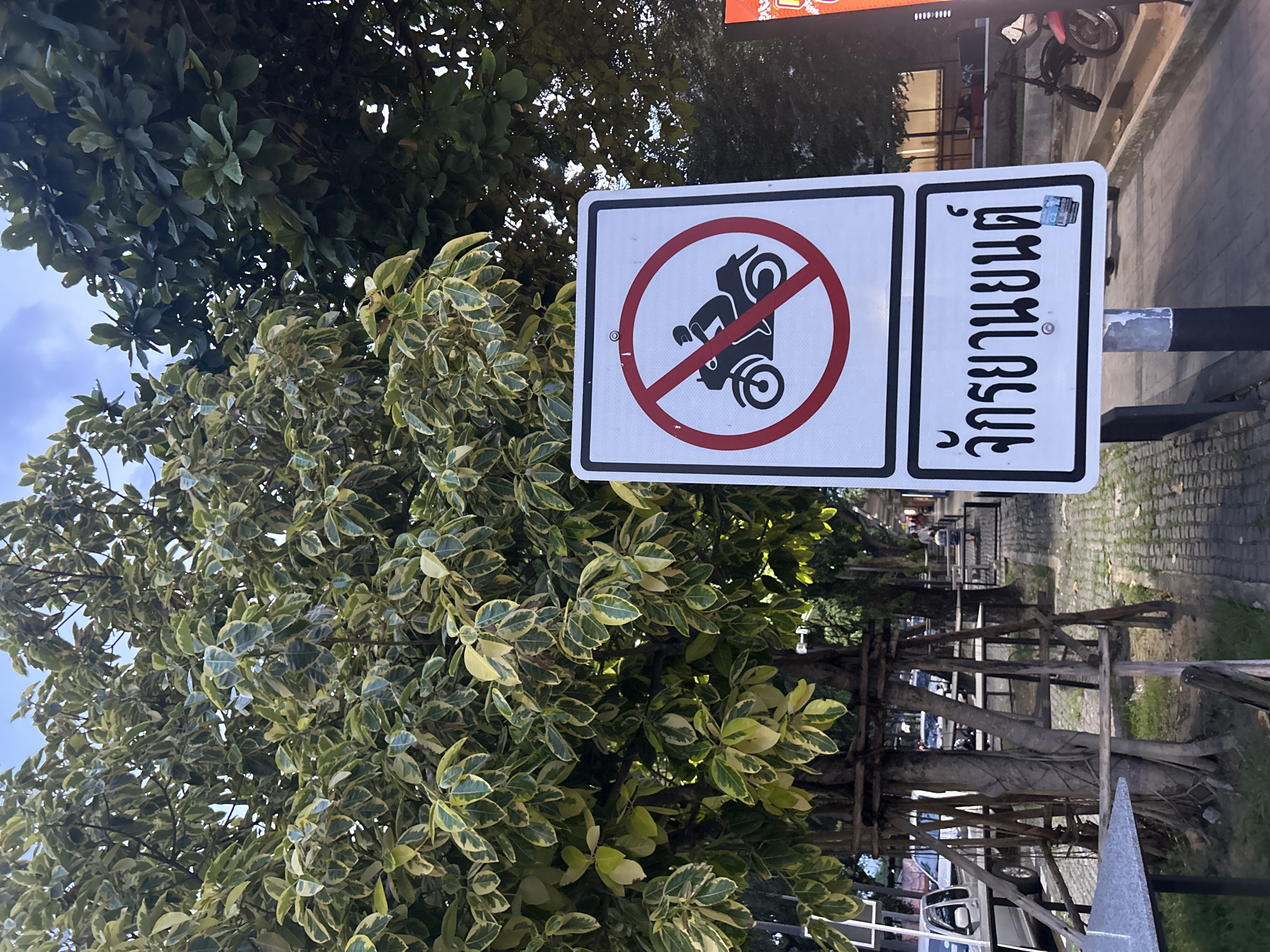A vertical shot captures a "no motorcycles" sign in Thailand, positioned amidst lush greenery. The sign, a white rectangle with a black border, features a red circle with a diagonal line through it, encompassing a black silhouette of a motorcycle. To the right of the prohibition symbol, Thai text in bold black lettering is visible, reading "ห้ามจอดรถ" which translates to "No Parking". A small sticker with blue and white lettering is affixed to the upper right corner of the sign. The surrounding foliage consists of dense trees with broad leaves, some variegated with shades of green and yellow. Beyond the trees, a glimpse of a street and sidewalk can be seen, with parked vehicles and outdoor seating suggestive of a commercial area or public space. The lighting suggests it's daytime.
