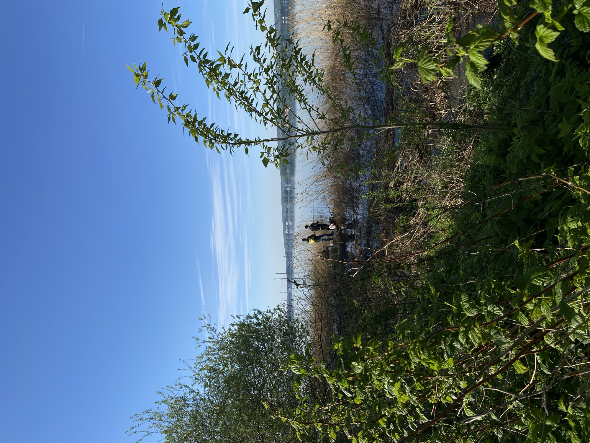 The image shows a view over a body of water, possibly a river or lake, in Votkinsk, Russia. Three figures stand near the water's edge, their actions unclear, possibly fishing or observing the scenery. In the background, industrial structures, likely factories or power plants, are visible on the opposite bank. The foreground is dominated by vegetation, including trees, bushes, and reeds. The sky is clear blue with some wispy cloud formations. The overall scene suggests a mix of natural and industrial landscapes.