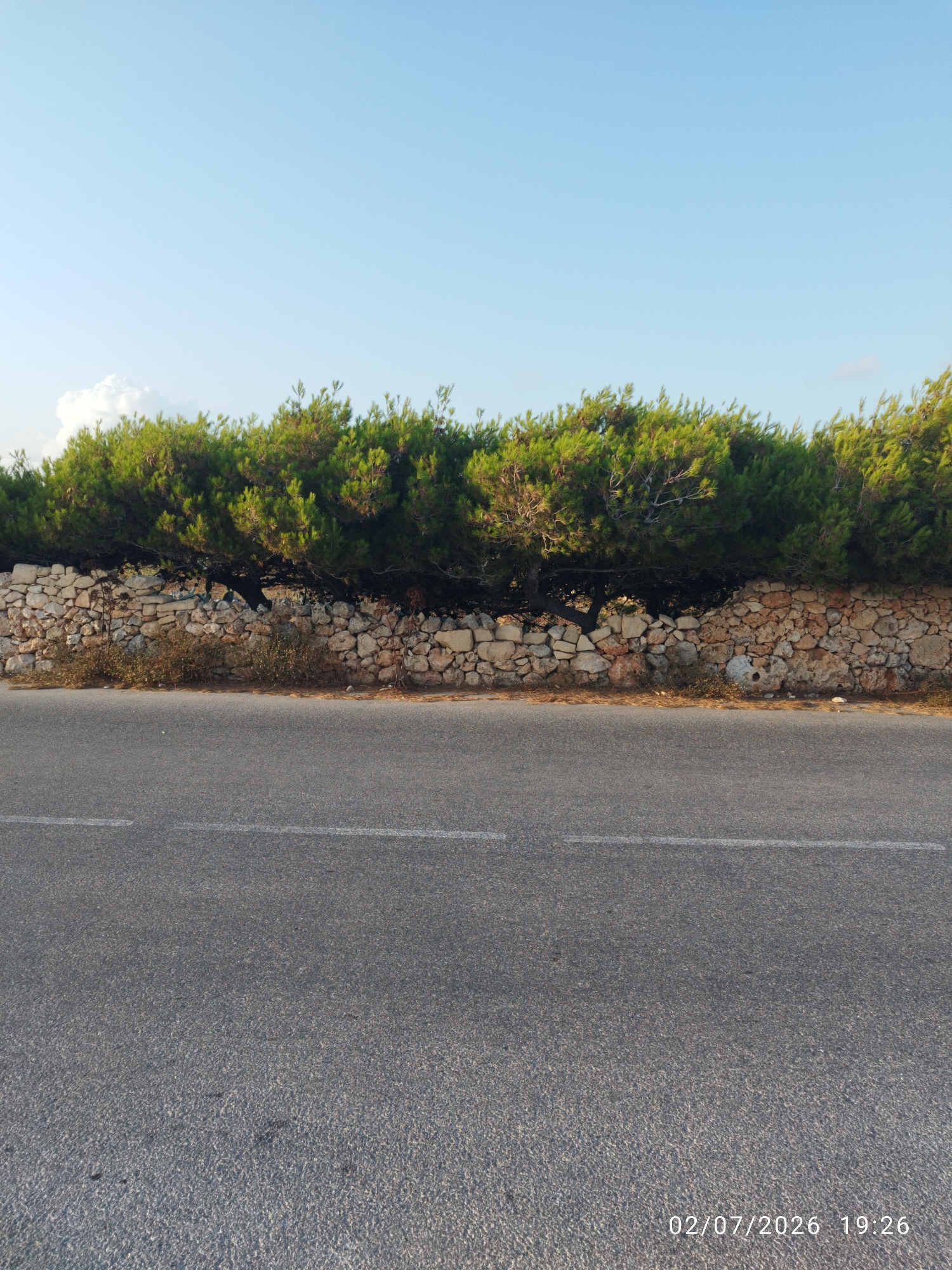 This is a landscape photograph taken from a road. The foreground shows a section of an asphalt road with a dashed white line marking the lane. In the midground, there is a low, rustic stone wall, typical of rural Maltese scenery. This wall is topped by a dense line of lush green pine trees, their branches arching over the wall and casting shadows. The background is dominated by a clear, pale blue sky, with a few wispy white clouds visible on the left.
The scene depicts a serene, natural setting likely in a rural or coastal area. The lighting suggests it is late afternoon or early evening, given the warm tones and the long shadows cast by the trees. The weather appears clear and calm. The date and time stamp overlaid on the image indicates it was taken on July 2, 2026, at 19:26. The location context provided is Dingli, Malta, which is known for its dramatic cliffs and rural landscapes, fitting the visual elements of the photograph. There are no people or animals visible in the image, focusing the viewer's attention on the natural elements and the man-made stone wall. The overall mood is peaceful and tranquil.