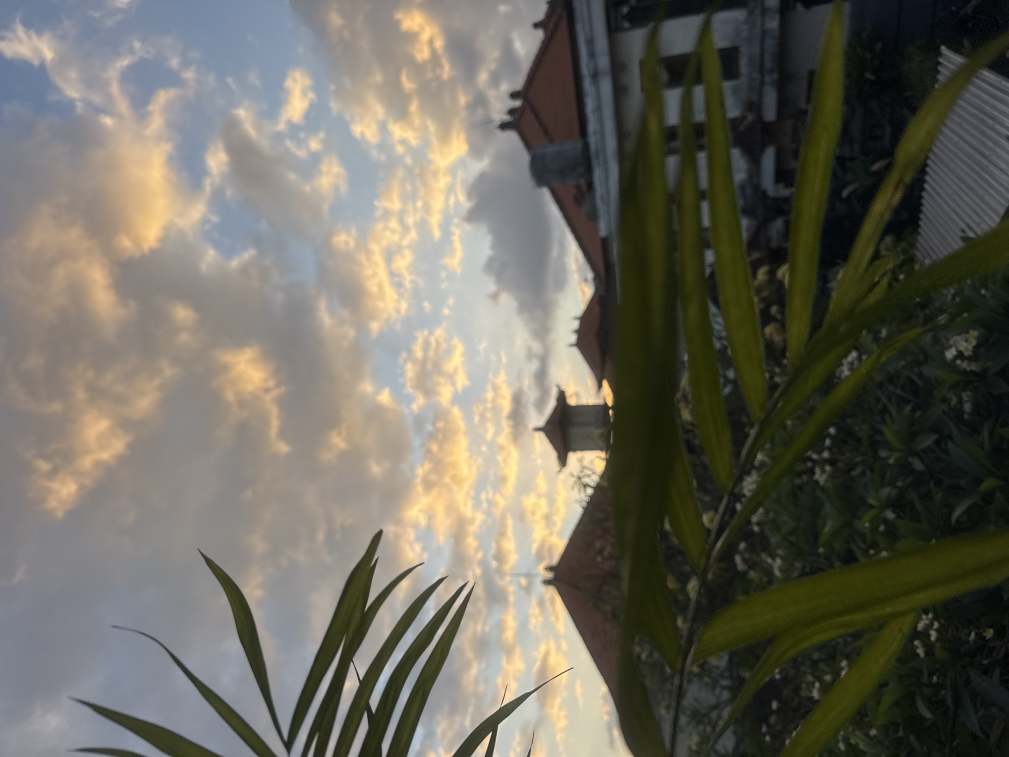 An outdoor, eye-level, medium shot captures the sky and rooftops of Kuta, Indonesia, at dusk. In the foreground, out-of-focus green palm fronds obscure much of the scene. Behind the fronds, terracotta-tiled roofs are visible, punctuated by the traditional pointed roofs of several structures, one of which appears to be a watchtower. A water tank sits atop one building. The sky is filled with dramatic clouds, tinged with the warm hues of sunset and contrasting with patches of blue. Below the rooftops, lush green foliage and small white flowers are visible, suggesting a well-maintained garden or natural vegetation. The overall impression is one of a peaceful evening in a tropical location.