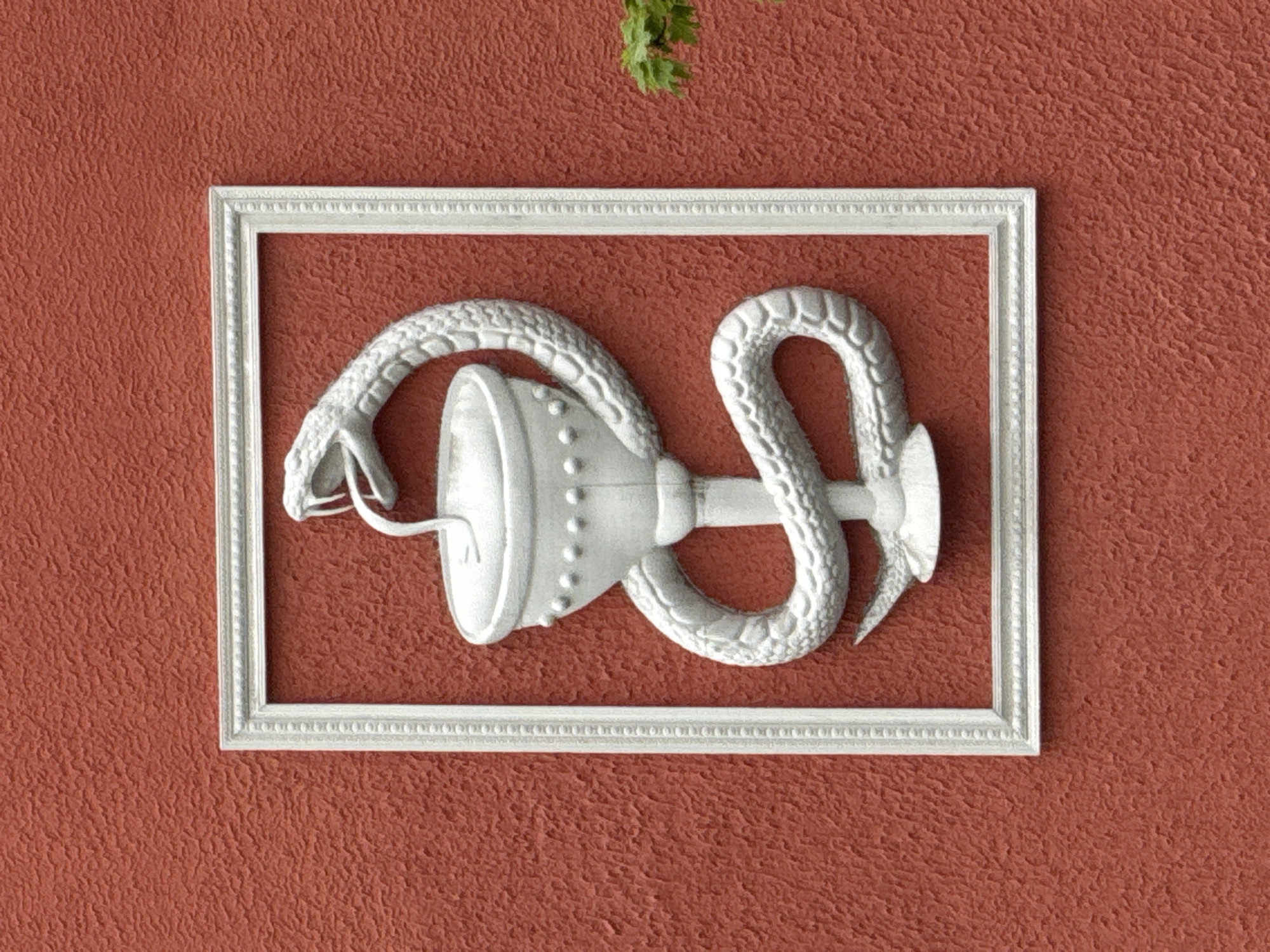 A detailed image shows a white, framed carving of the Rod of Asclepius mounted on a textured, reddish-brown wall. The carving depicts a snake coiled around a chalice. A small, leafy green sprig is visible above the frame. This image is likely located in Saint Petersburg, Russia, as such carvings are found on buildings associated with medical or pharmaceutical practices in that city.