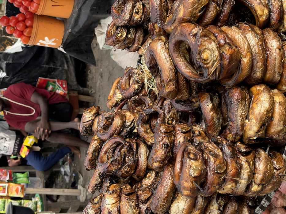 The image captures a bustling outdoor market scene, likely during the daytime, with a predominant focus on a large display of smoked fish.
In the foreground and central-right portion of the image, a massive pile of smoked fish is arranged, creating a rich textural and color contrast. The fish are dark brown to golden brown, appear dried or cured, and many are curled into C-shapes, often with their heads and eyes still visible, indicating they are whole fish. Some are loosely tied together with what looks like dried straw or fiber. The sheer quantity suggests they are a significant item for sale.
In the upper-left corner, two orange buckets are stacked, both filled to the brim with ripe, red tomatoes. A dark, possibly black, tarp or cloth covers the surface beneath the buckets.
On the left side of the frame, slightly out of focus, a person is seated on a low stool or directly on the ground. This individual is wearing a maroon or dark red short-sleeved shirt and dark shorts. A long, white beaded necklace hangs around their neck. Their legs are bent, and they appear to be resting or watching the market activity. Further behind this person, another individual in blue pants is partially visible, also seated.
The ground appears to be a light-colored, uneven, and somewhat dusty surface, consistent with an outdoor market setting. Various small items and packaging, some green and white, are scattered on the ground near the seated individuals, possibly indicating other goods for sale or personal belongings.
The overall atmosphere suggests an active trading environment, focusing on food items. The lighting is bright and even, indicating either an overcast day or a diffused light source, without harsh shadows. No discernible text is clearly visible in the image.