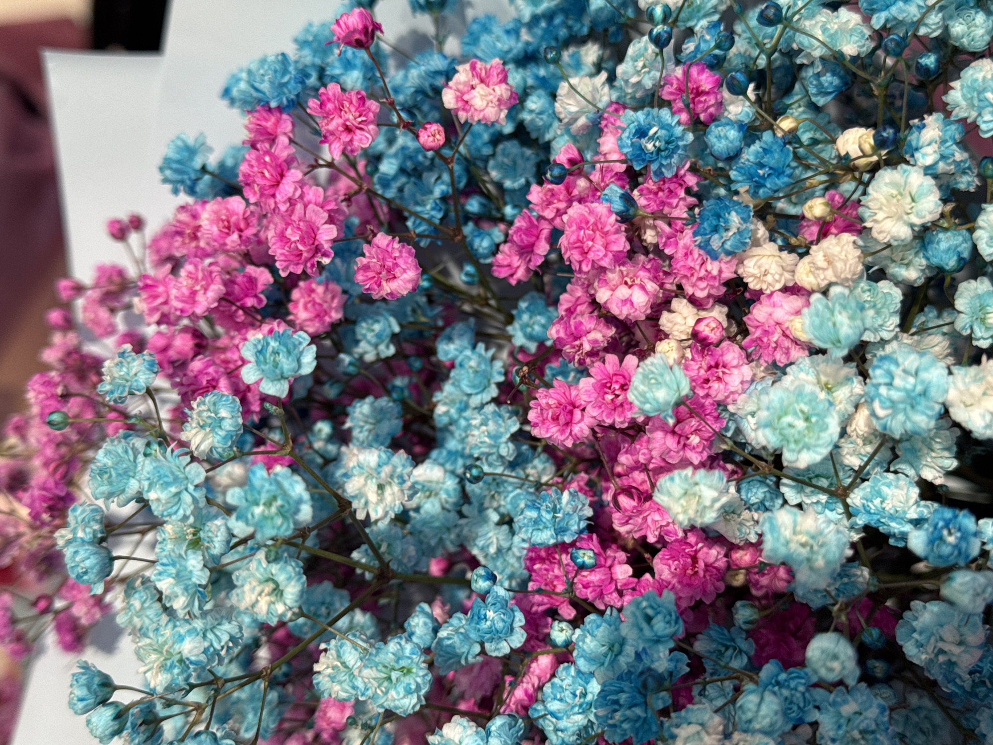 The image shows a bouquet of baby's breath flowers in shades of pink, light blue, and white. The flowers are densely packed, filling the frame. The photo appears to have been taken indoors under soft, natural light. No people are visible. There is no indication of the city of Chaikovsky, Russia.