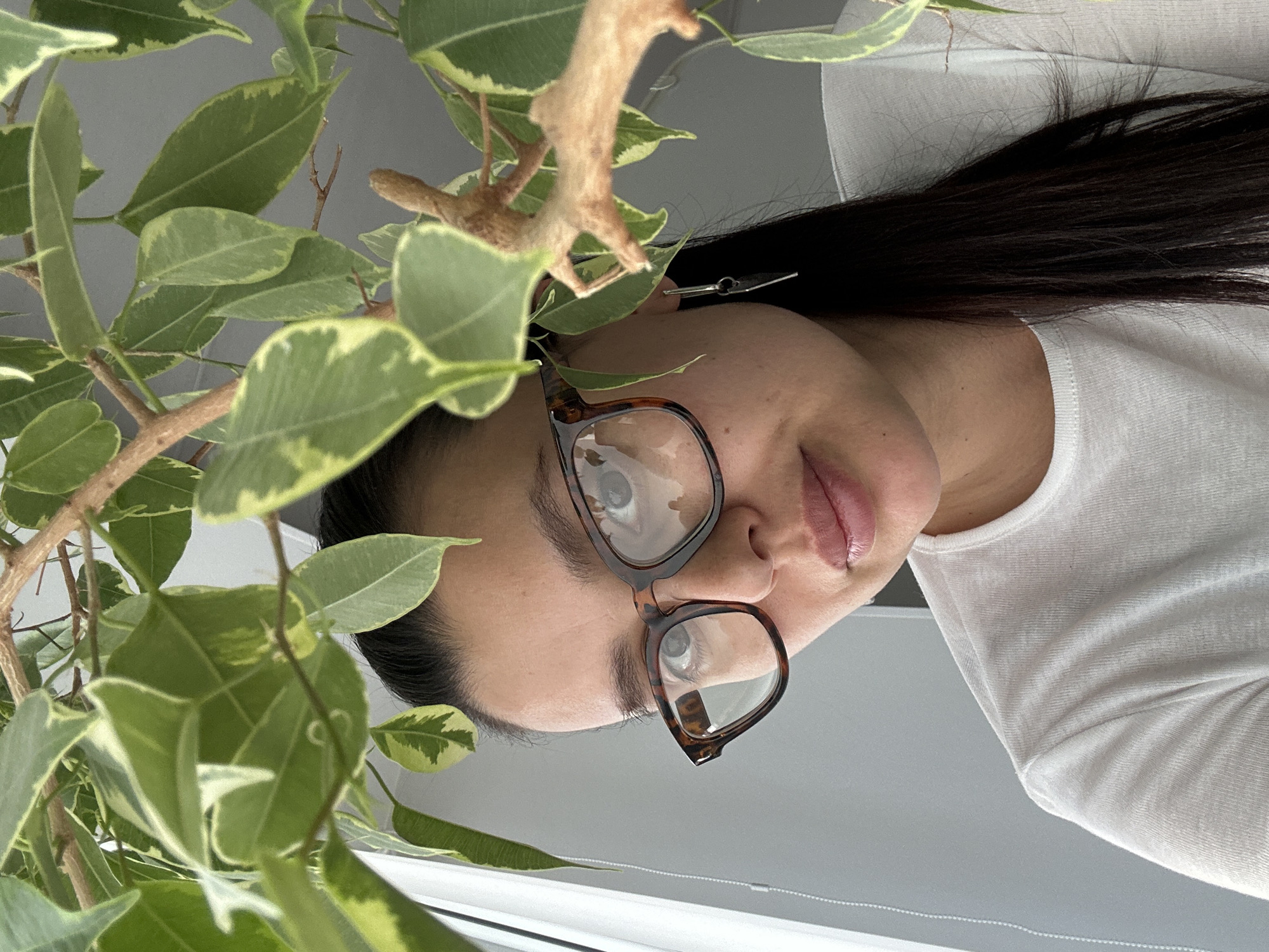A woman with long dark hair, wearing tortoiseshell glasses and a white shirt, is positioned next to a variegated ficus plant. A silver hair clip is visible near her ear. The background includes a gray wall and a window. The location in the city of Chaikovsky, Russia is not discernible from the image.
