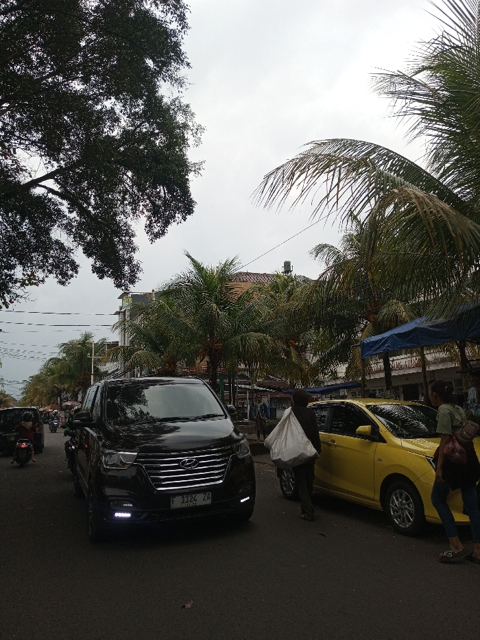 The scene depicts a bustling street in Daringbadi, India, under an overcast, light gray sky. A dark asphalt road traverses the image, populated by vehicles and pedestrians.
In the immediate foreground, a black minivan, resembling a Hyundai Staria, is prominently positioned towards the left. It features a chrome grille and illuminated LED daytime running lights, displaying a license plate reading "F 1124 ZA." To the right of the minivan, a yellow hatchback is parked by the roadside.
The right side of the street is lined with numerous palm trees, some bearing visible coconuts, partially obscuring buildings in the background. One building exhibits a reddish-brown tiled roof and a water tank. A blue tarp or awning suggests market stalls or temporary shelters along this side. On the left, a large, dark-leafed tree fills the upper portion of the frame, alongside power lines spanning across the view.
Several individuals are present. One person, viewed from behind, walks from right to left between the black minivan and the yellow car, carrying a large white bag over their right shoulder. Two additional individuals stand near the yellow car on the right. In the distance on the left, multiple motorcycles with riders are visible, indicating ongoing traffic. Further blurry figures are discernible along the street and near the roadside structures.