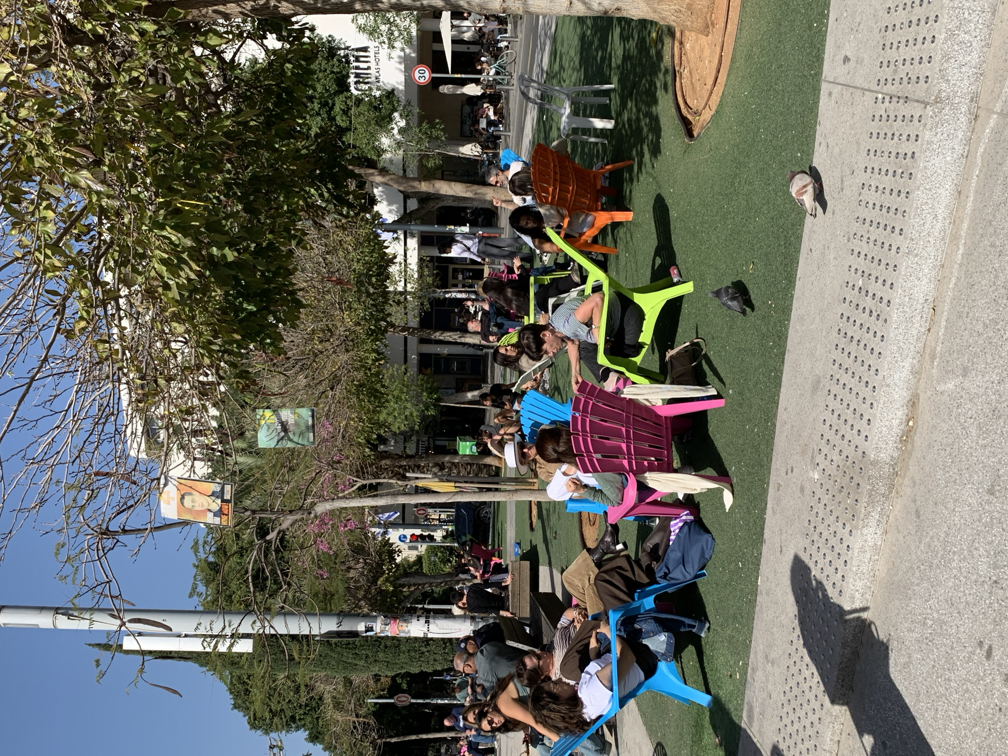 The image captures a street scene in Tel Aviv, Israel. A row of brightly colored plastic chairs - blue, pink, green, and orange - are arranged on a patch of artificial turf. These chairs are occupied by people of various ages, some engaged in conversation, others relaxing. The chairs face away from the camera and towards the background.
Behind the chairs, there's a paved sidewalk with a tactile surface. To the left of the sidewalk are trees, some bare, some in leaf. High up in the branches of one tree, there are posters attached. Further back are buildings and shops, indicating a commercial area. The signage "Cinema Atlas Hotels" is visible.
The light suggests it is daytime, with shadows cast by trees and chairs on the sidewalk and turf. Two pigeons, one grey and one black, are seen near the edge of the turf.