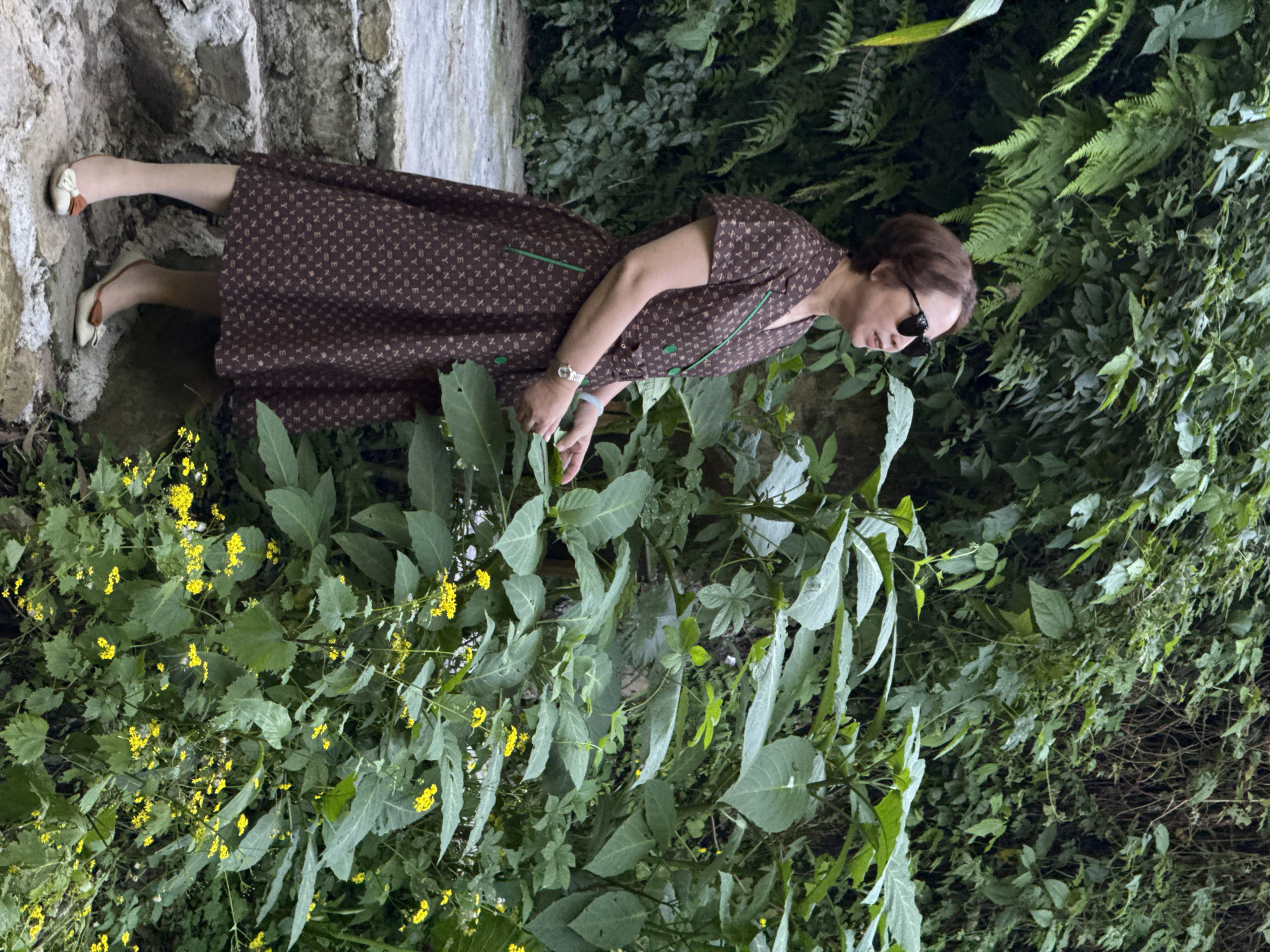 A woman in a brown patterned dress with green trim, sunglasses, and cream-colored shoes stands near a stone structure and dense foliage. The scene is further characterized by the presence of green plants, yellow flowers, and ferns. This photograph was taken in Beibei, China.