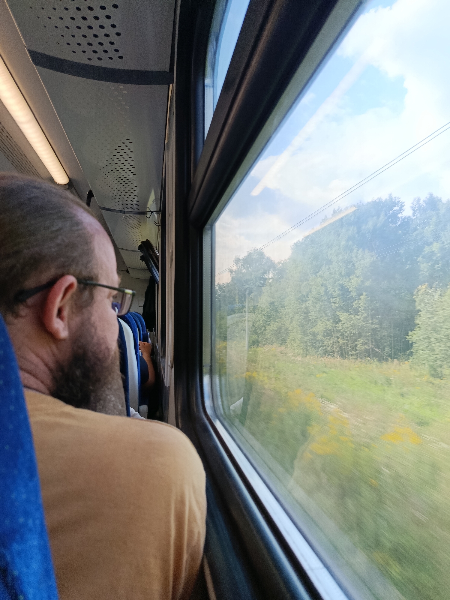 An overhead view shows the interior of a train carriage. A man with a beard and glasses is seated, looking out the window. The window reveals a landscape of trees and fields, suggesting the train is traveling through a rural area. The train carriage's interior features seats and overhead compartments. The scene appears to be a daytime journey.