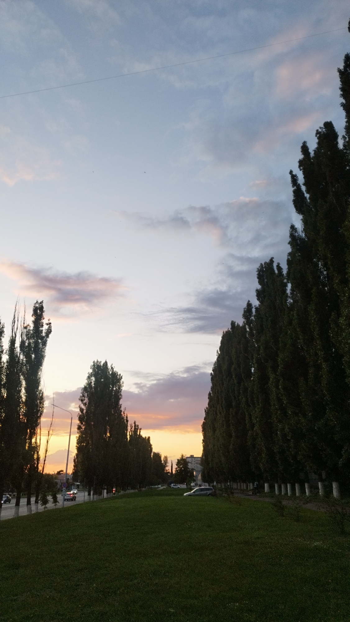 The image shows a sunset scene in Stary Oskol, Russia, with a row of tall, slender trees lining a grassy area. The sky is filled with soft clouds tinged with pink and orange from the setting sun. A street with cars can be seen on the left side of the image, parallel to the tree line. Some buildings are visible in the distance on the right. The foreground is dominated by a well-maintained green lawn. The overall impression is one of a serene urban landscape at dusk.