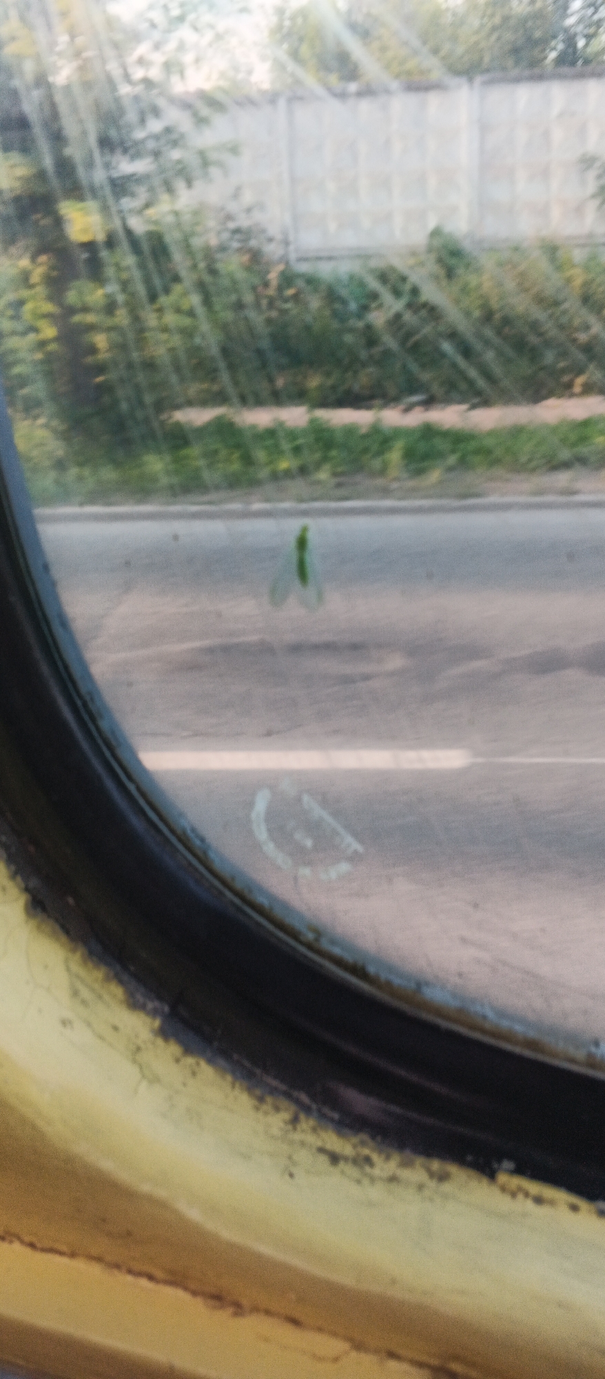 The image shows a close-up view through a circular window, likely from a vehicle, looking outwards. The window frame is black and worn, with yellow paint visible on the exterior of the vehicle.
Through the smudged and dirty glass, a blurry background is visible. This includes green foliage, a light-colored fence or wall, and a road. There are visible light streaks, possibly from the sun, suggesting it is daytime.
On the glass itself, there are two discernible marks. Near the center of the window, a light green, almost translucent object with wing-like structures is imprinted or stuck to the glass. To the lower right of this, there is a faint, smudged circular or crescent-shaped mark, possibly from a handprint.
The presence of foliage, a fence, and a road suggests an outdoor environment, possibly on the outskirts of a city or in a less urbanized area. Without further context or identifying landmarks, it is not possible to determine the specific location in Izhevsk, Russia.