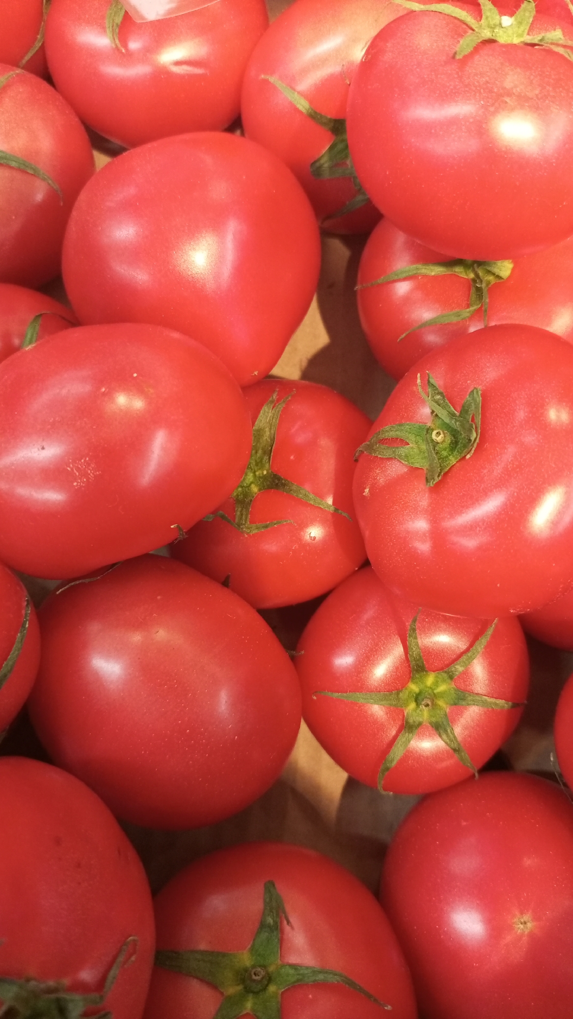 The image shows a close-up view of a pile of ripe, red tomatoes. The tomatoes vary slightly in size and shape, with some displaying their green stems and calyxes. The lighting creates highlights on the smooth skin of the tomatoes. The image does not provide information to verify any connection to Юдино, Russia.