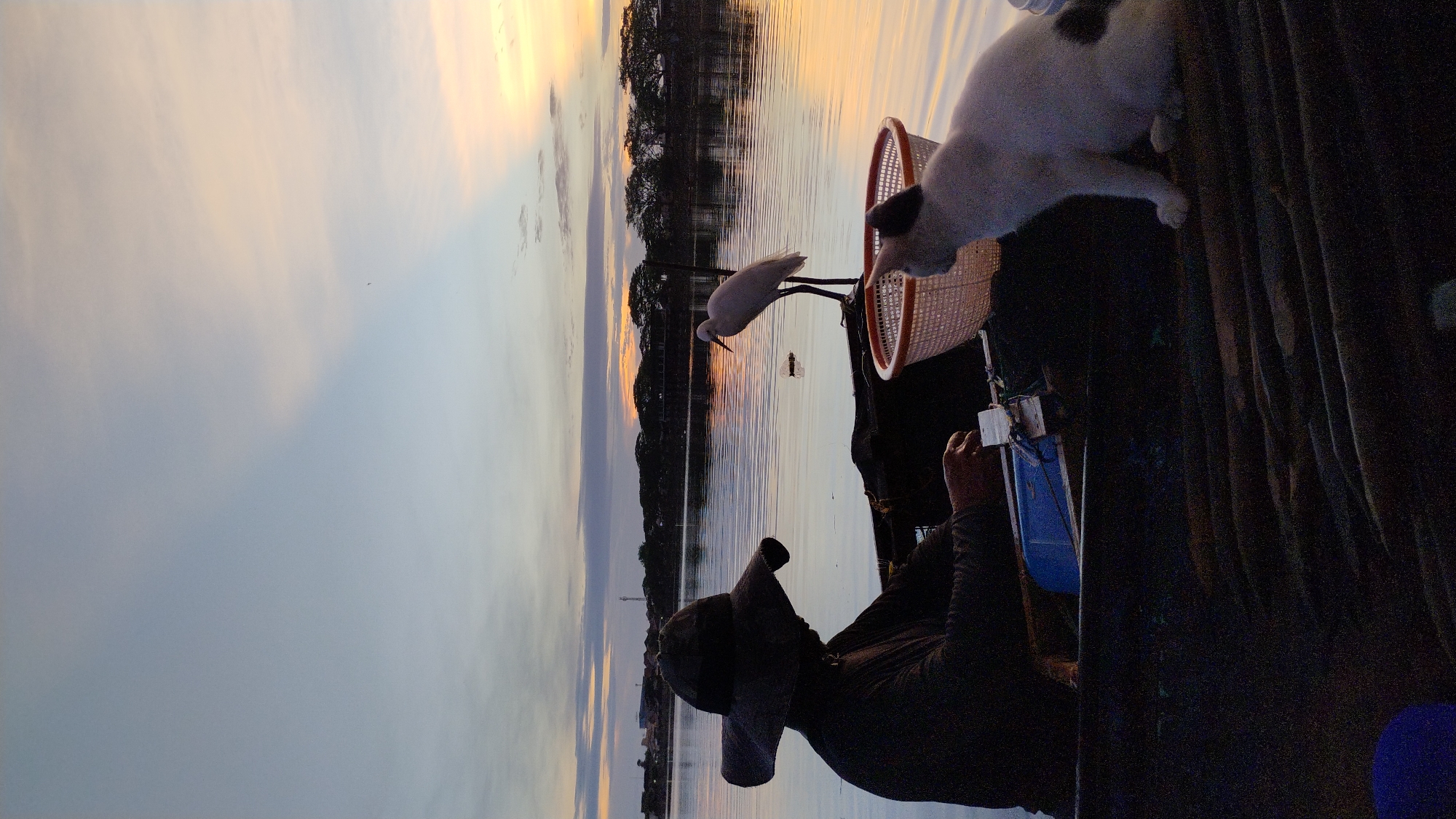 The image captures a tranquil scene at sunrise on a body of water, likely in Lhokseumawe, Indonesia, given the hints. In the foreground, a person wearing a wide-brimmed hat is seated in a boat, appearing to be engaged in an activity involving small objects, possibly preparing fishing gear. To their right, a white cat with black markings sits attentively, looking towards the water. Further in the boat, a white egret stands on the edge, also observing the surroundings. The water reflects the soft hues of the dawn sky, with a line of trees and distant buildings forming the horizon. The overall atmosphere is peaceful and serene, typical of an early morning by the water.