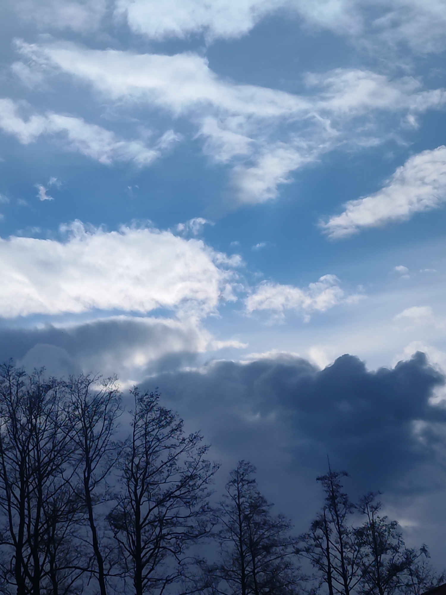 The image presents a dramatic natural scene dominated by an expansive sky filled with diverse cloud formations and the silhouette of bare trees. The upper half of the frame reveals patches of clear blue sky interspersed with bright, illuminated white clouds, some appearing wispy and elongated, others more voluminous. Below these, a significant layer of darker, heavy clouds stretches across the mid-ground, transitioning from lighter grey to deep, moody blue and charcoal tones, suggesting considerable atmospheric depth and potentially impending weather.
In the lower third of the image, the intricate, leafless branches of several deciduous trees are silhouetted against the sky and darker clouds. These trees, bare of foliage, indicate the season is likely late autumn or winter. The branches create a complex, dark network across the bottom of the frame, providing a terrestrial anchor to the powerful sky view.
No people or man-made objects are visible, allowing the focus to remain on the natural elements. The lighting suggests it is daytime, but the extensive cloud cover creates a diffused light, enhancing the contrast between the bright and dark cloud layers. The overall scene conveys a sense of natural majesty and the dynamic nature of the atmosphere. This landscape view, with its bare trees, is consistent with the climate of Chaikovsky, Russia, the specified location. No visible text is present in the media file.