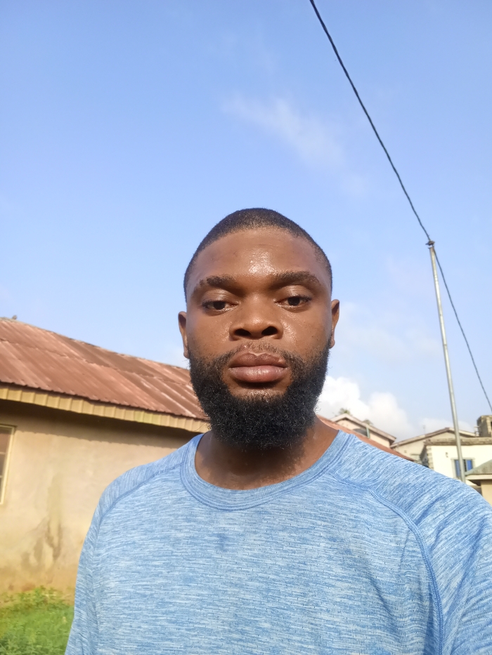 An adult black male with a short, dark haircut and a full beard is depicted in a close-up, outdoor shot, facing directly forward. His skin exhibits a sheen, suggesting sweat or oil, particularly on the forehead and face. He is wearing a light blue, textured short-sleeved crew-neck shirt.
The background on the left features a building with a weathered, rust-colored corrugated metal roof and light-brown stucco or painted walls. Green vegetation is visible at the base of this structure. On the right, a metallic utility pole extends vertically, with a dark cable running diagonally upwards and to the right from its top. Portions of additional buildings are discernible behind the pole and to the far right. The sky overhead is clear blue with sparse, wispy white clouds. The scene is illuminated by direct sunlight. This event is observed in Magboro, Nigeria.