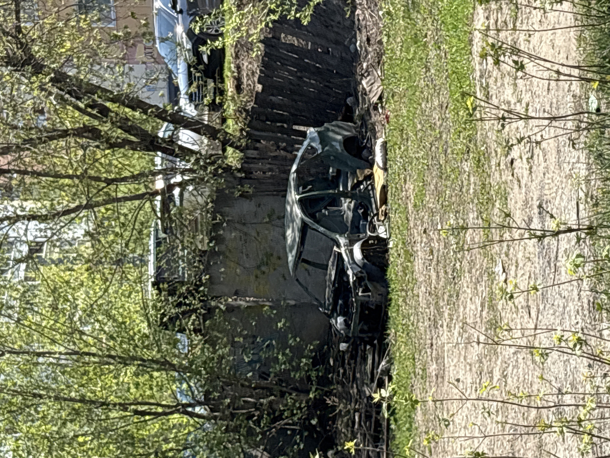 A car carcass is resting on a grassy verge adjacent to a walkway in Perm, Russia. The vehicle is stripped of its doors, hood, and other external components. A tall, weathered wooden fence and a concrete wall stand behind the vehicle. A silver car is partially visible in the background. Trees with emerging spring foliage partially obscure the foreground and background. The ground is covered in light-colored dirt and patchy grass.