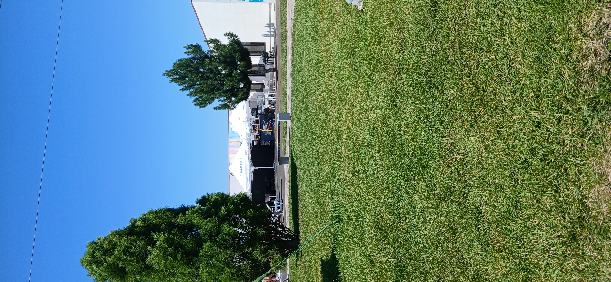 The image shows a bright, sunny day with a clear blue sky. In the foreground, a lush green lawn stretches across the frame. Behind the lawn, there is a paved area with several white tents set up, suggesting an outdoor event or market. Two evergreen trees stand in front of a modern white building with a large window. A grey bench is visible on the paved area, facing the tents. In the distance, a colorful mural or banner is visible on the building. The overall scene suggests a public space, possibly a park or a recreational area, during daytime.