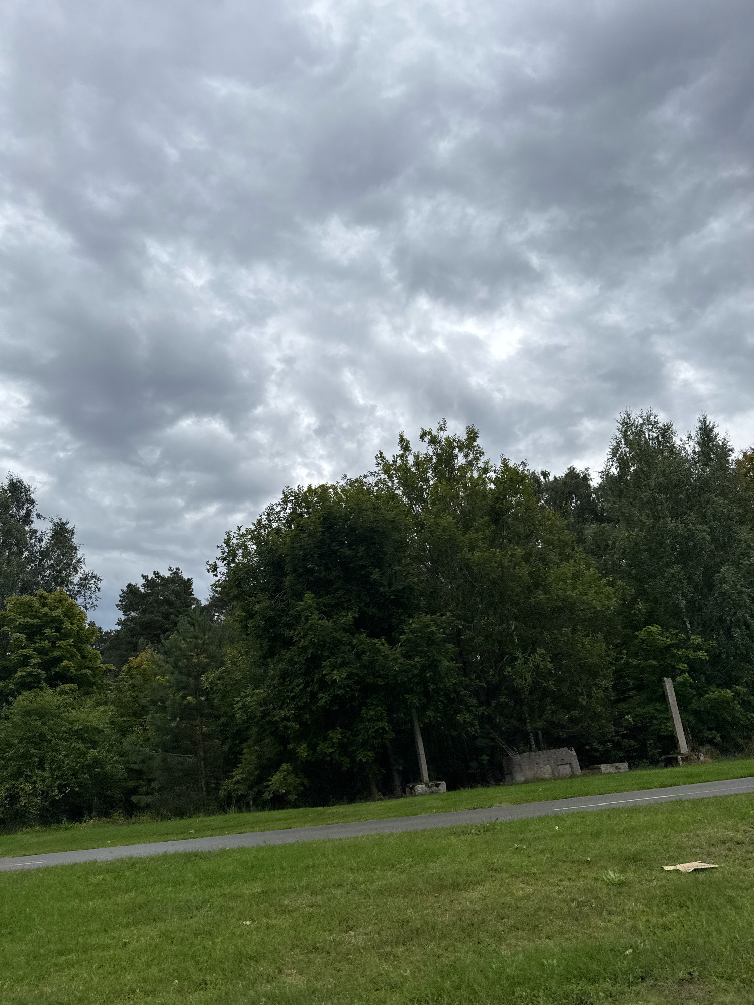 A cloudy sky hangs over a grassy embankment that slopes down to a paved road. Beyond the road, a dense line of trees forms the backdrop. In the middle ground, partially obscured by the foliage, are remnants of concrete structures and two tall, slender concrete pillars. The ground in the foreground is covered in green grass, with a small piece of cardboard lying on it. The scene appears to be an outdoor area in Tallinn, Estonia, possibly a park or a roadside verge with historical ruins.