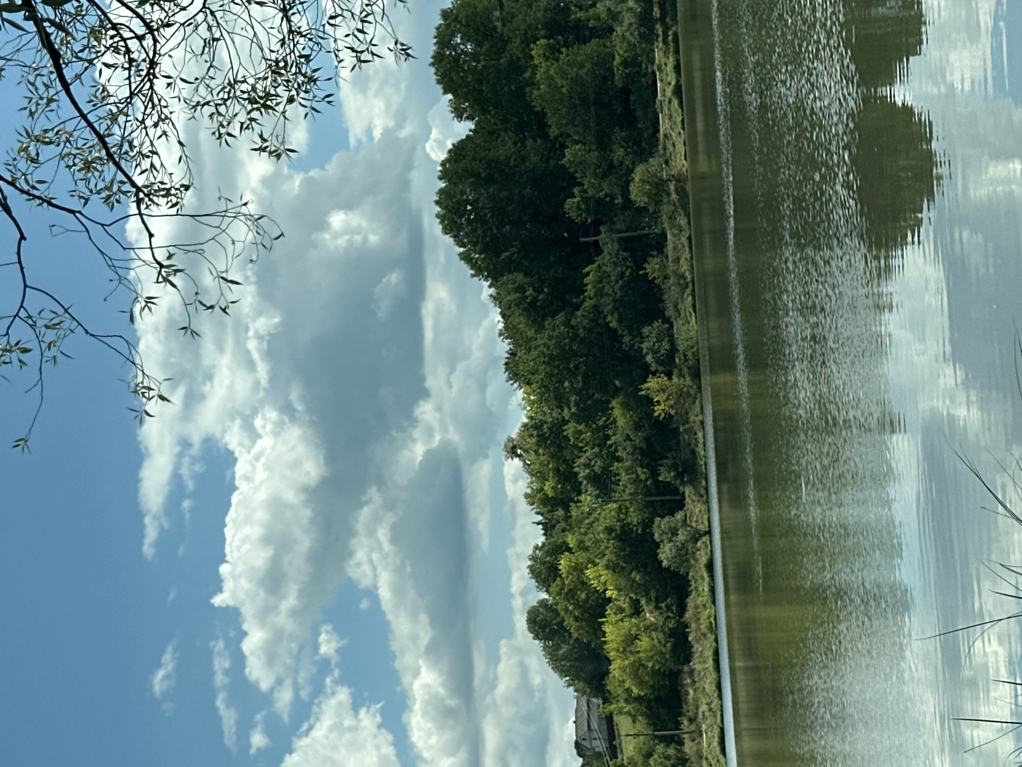 The image captures a serene landscape scene with a calm body of water in the foreground and a dense line of trees bordering its far bank. The water reflects the sky and trees, creating a shimmering, dappled effect. Above the trees, a bright blue sky is dotted with fluffy white clouds, some of which appear to be casting shadows on the landscape below. In the upper right corner, the branches of a deciduous tree, sparsely leafed, extend into the frame, adding a natural, organic element. The environment suggests a rural or semi-rural setting, likely within or near the city of Makiv, Ukraine, given the provided context. The overall impression is one of natural tranquility and clear weather.