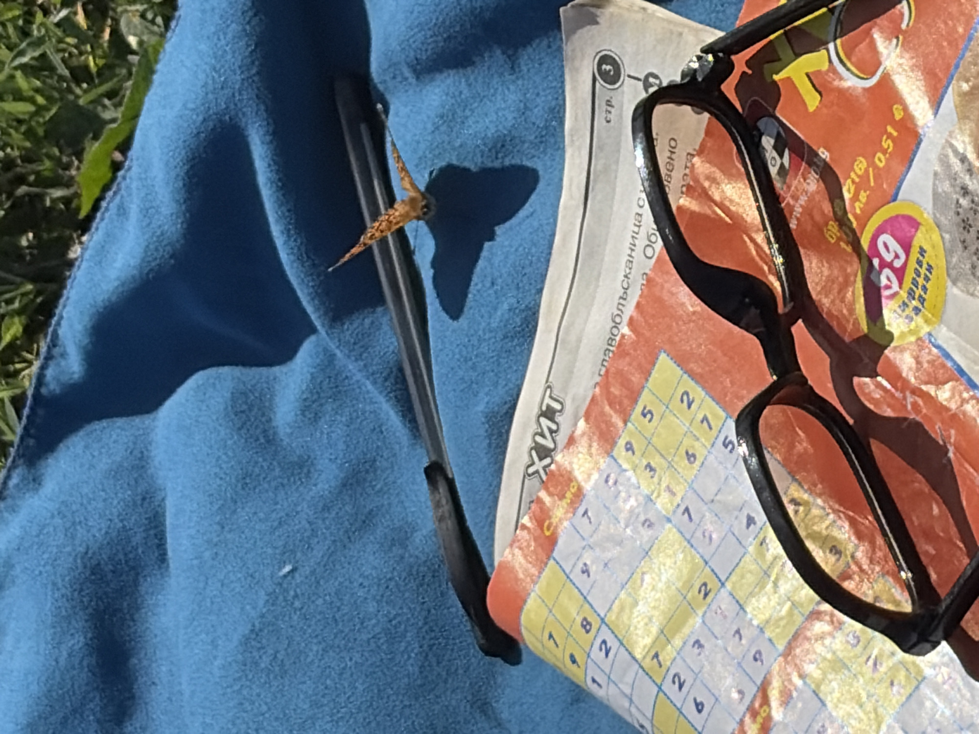The image shows a close-up view of a puzzle book, a pair of glasses, and a small insect resting on a blue fabric, possibly a blanket or towel, outdoors. The puzzle book appears to be a Sudoku or similar number puzzle. The glasses are black-framed and rest on top of the book. The insect, with orange and black markings, is positioned on the blue fabric, casting a shadow that suggests a strong light source. The background shows hints of green grass, indicating an outdoor setting.
The visible text on the puzzle book is in Cyrillic script. Partially legible words and characters include "ХИТ", "стр.", "главоблъсканица су", "Оби", "овено", and numbers that are likely part of the puzzle itself, such as "9", "7", "3", "8", "6", "2", "1", "5". There is also text that appears to be a website address, "www.bio.lg", and pricing information like "6p216)" and "лв./0.51€". A circular sticker with the number "69" and text "Задачи" (meaning "tasks" or "problems" in Bulgarian) is also visible.
The lighting suggests it is daytime, likely sunny, given the clear shadow cast by the insect. The scene evokes a sense of leisure and intellectual engagement, perhaps someone taking a break outdoors to enjoy a puzzle and a moment of observation. The location context of Montana, Bulgaria, suggests the specific language and pricing details on the book are relevant to that region. There are no people visible in the image.