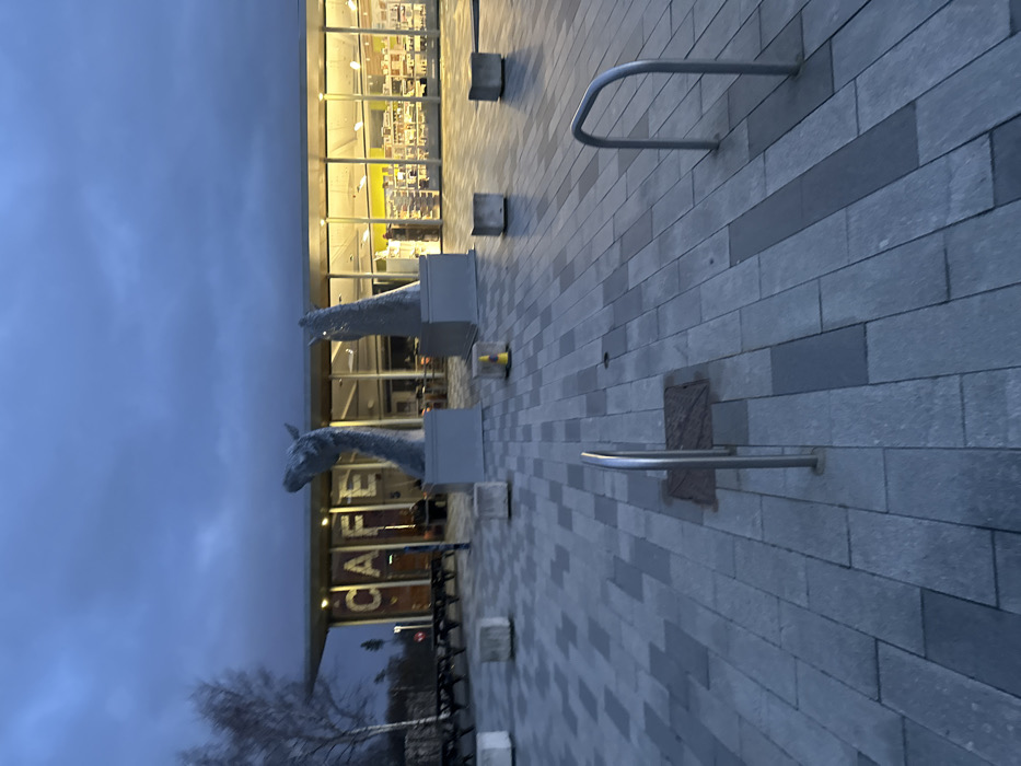 The image depicts an outdoor paved area at dusk, located in Falkirk, United Kingdom, specifically identifiable by the presence of the Kelpies maquettes. The sky above is a uniform dark blue-grey, indicating overcast conditions and low natural light.
In the midground, two large, grey, metallic sculptures resembling horse heads emerge from rectangular grey pedestals. The sculpture on the left features a head angled downwards and slightly left, while the sculpture on the right presents a head angled sharply upwards. Between these two sculptures, a small yellow traffic cone is visible on the paving.
Behind the sculptures, a modern, single-story building with a wide glass facade is brightly illuminated from within by warm yellow lights. The word "CAFE" is prominently displayed in large, white, illuminated letters on the left side of the building's exterior. Indistinct figures of people are visible through the glass, seated inside the cafe. To the far left of the building, several dark picnic-style tables with benches are arranged outdoors.
The foreground and midground feature an expansive paved surface composed of rectangular grey and darker grey paving stones laid in an alternating pattern. Several cubic concrete blocks, likely bollards or planters, are scattered across this paved area. Two silver, U-shaped bicycle racks are present in the immediate foreground.
On the far left of the image, bare deciduous trees are visible against the dark sky. No clear actions or interactions are occurring in the outdoor scene; the sculptures are static, and the visible people are contained within the illuminated cafe interior.