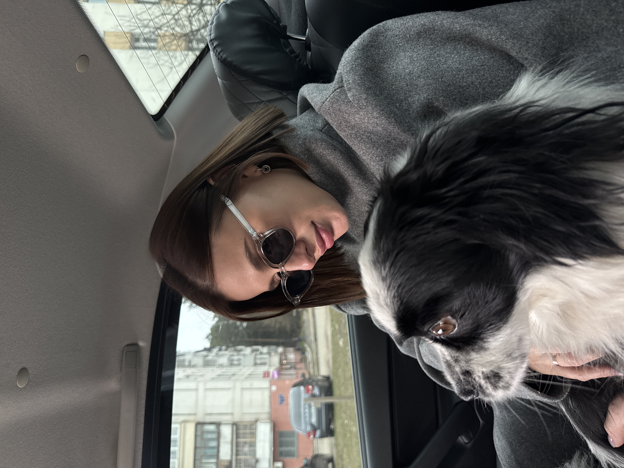 The image shows a woman and a black and white dog inside a car, likely in the backseat, on an overcast day in Chaikovsky, Russia. The woman, with brown hair, wears sunglasses with clear frames and a grey coat, looking downwards with a calm expression. An earring is visible in her left ear. She holds a long-haired, black and white dog, possibly a Pekingese or similar breed, whose warm brown eye is visible as it also looks downwards. The car's interior features a grey headliner and a black leather headrest. Outside the car windows, the urban landscape of Chaikovsky is visible, featuring bare-branched trees and multi-story buildings, along with other parked vehicles on a street. The overall atmosphere is tranquil, suggesting a quiet moment during a car journey or while parked. No text is visible in the media.