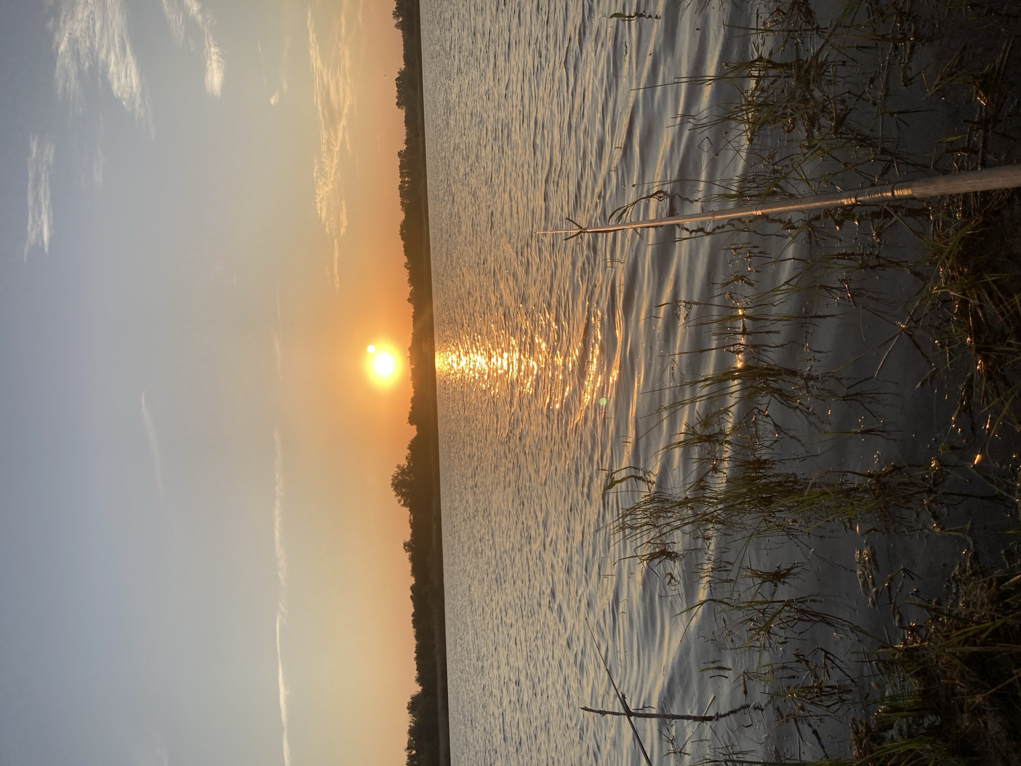The media file is a landscape-oriented photograph taken at dusk by a body of water. The sun, a bright orb, is low on the horizon, casting a golden glow across the rippling surface of the lake. The sky transitions from a soft orange near the sun to a pale blue at the top, with wispy white clouds present. A tree line of dark green foliage forms a distant horizon on the left side of the image. In the foreground, on the right bank of the water, tall grasses and reeds grow from the murky shallows. A slender wooden pole, possibly part of a fishing rod or a marker, extends diagonally across the water from the right side towards the center. The water is calm, with subtle waves reflecting the sunlight and creating a shimmering effect. The overall mood of the image is peaceful and serene, suggesting a quiet moment of nature at the end of the day. No text is visible in the image.