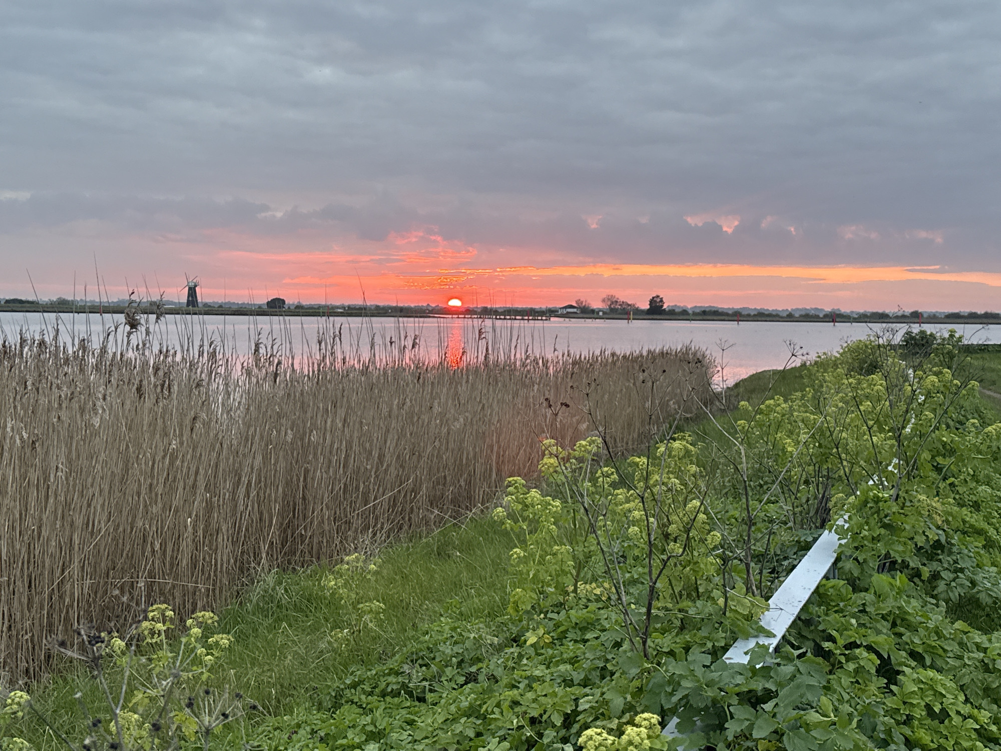 The image shows a view of the Norfolk Broads in Great Yarmouth, United Kingdom, at sunset. The sun is setting on the horizon, casting a red glow on the water and sky. Reeds line the left side of the frame, with green vegetation in the foreground to the right. A windmill is visible in the distance to the left. A section of a metal barrier is visible in the foreground.
