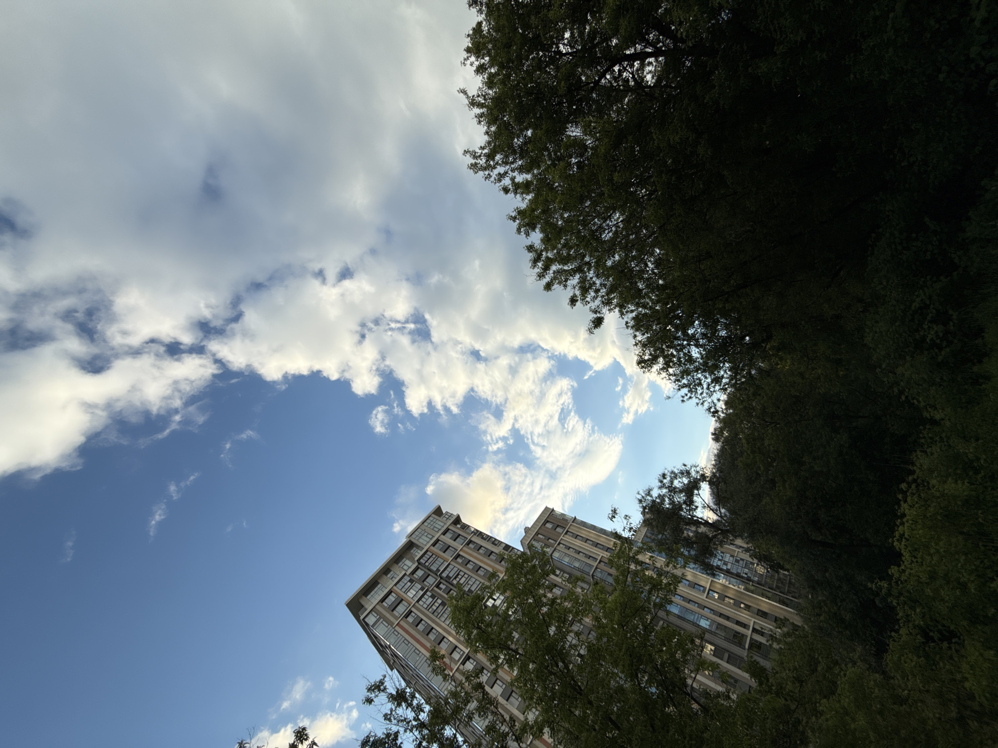 The image captures a low-angle view of a building complex in Moscow, Russia, set against a backdrop of a partially cloudy sky. The buildings are multi-story structures with a modern design, featuring numerous windows and a neutral color palette. The architecture suggests a residential or commercial use.
Tree foliage partially obscures the buildings, particularly on the right side of the frame, adding a natural element to the urban scene. The sky is a vibrant blue, dotted with white, billowy clouds. The sunlight appears to be diffused, casting a soft light on the building facade and the surrounding greenery.