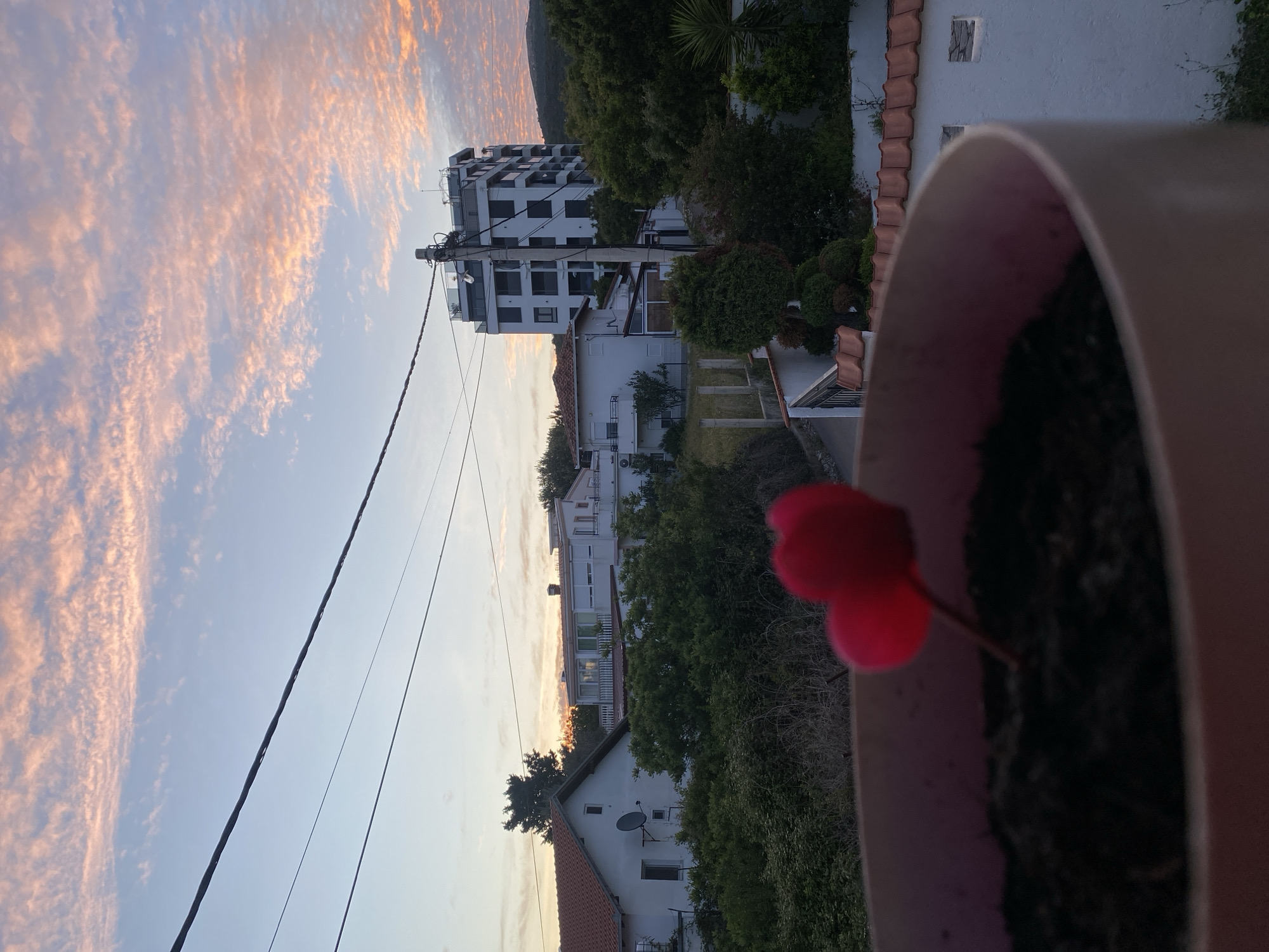 An eye-level, outdoor, long-shot shows a pink cyclamen flower blooming in a pink ceramic pot in the foreground. Behind the flower, the scene slopes downward into the urban area of Kunje, Montenegro, which includes several white buildings of varying sizes and designs, nestled amongst the foliage of green trees. The leftmost building is the tallest building, white with several windows and balconies. Powerlines criss-cross through the open area of the scene. The sky is a gradient of light blue to light yellow, with several wispy, peach-colored clouds covering the upper left. The sky indicates that the time is either at sunrise or sunset. A dark mountain can be seen in the background.