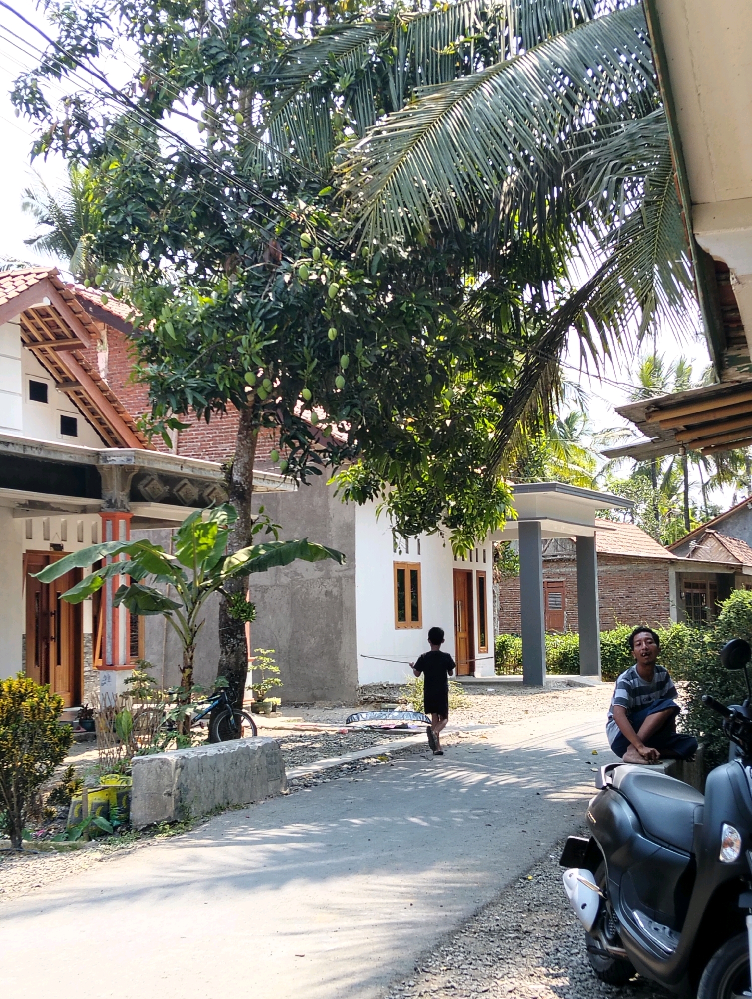 The image depicts a residential street scene in Tipar, Indonesia, on a sunny day. A person wearing a black t-shirt and shorts is walking away from the camera on the asphalt road, carrying a white object. To the right, another person is seated on a concrete barrier, wearing a striped t-shirt and dark pants, looking towards the camera with an open mouth. A dark-colored scooter is parked in the foreground on the right. Several houses with red tile roofs and white walls are visible, surrounded by lush green trees, including a mango tree laden with green fruit and a banana tree. Palm fronds extend from the top right of the frame. Electrical wires are strung across the upper portion of the image. A bicycle is parked near a concrete block on the left side of the road. The environment appears to be a quiet, semi-rural neighborhood.
