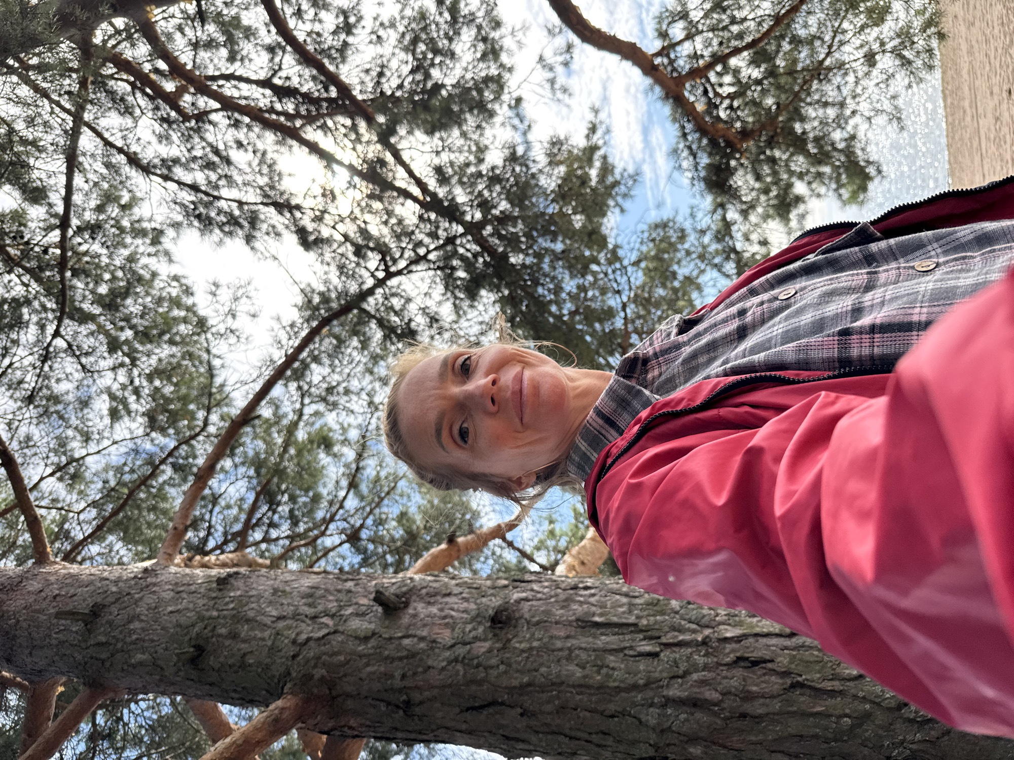 A blonde woman in a red jacket and plaid shirt is taking a selfie outdoors. She is standing next to a large tree with a sandy area and a body of water in the background. The sky is visible through the tree branches. The image appears to be taken during the daytime, with sunlight filtering through the leaves. The location is Zelenaya Roshcha, Russia.