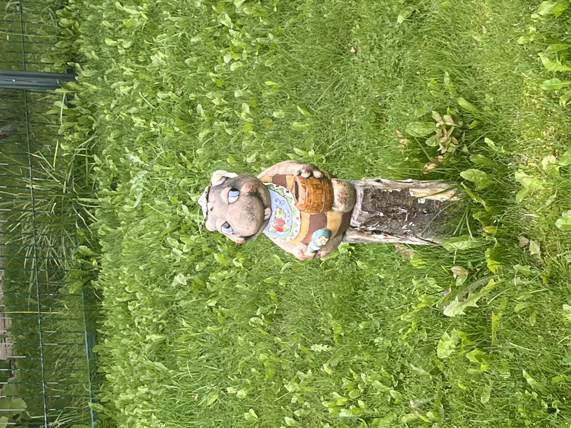A garden gnome, resembling a small, brown, humanoid creature with blue eyes and a cheerful expression, is positioned on a wooden stump in a grassy area. The gnome is wearing a patterned apron and holding a small wooden barrel. The surrounding environment consists of lush green grass and a metal fence in the background. The scene is likely in a residential garden in Vladimirovka, Russia.