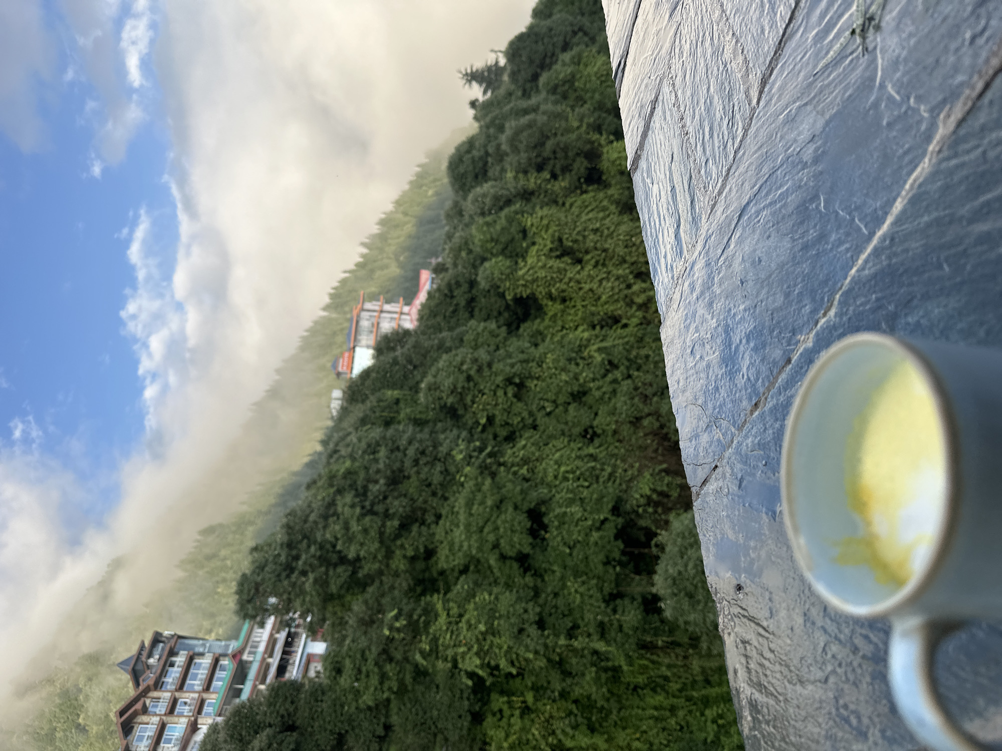 In Haini, India, on a cloudy day, a mug of golden liquid rests on a slate surface in the foreground. In the background, lush green trees climb a steep mountainside, shrouded in mist. Buildings with red roofs and balconies are visible nestled amongst the trees and perched higher on the slopes. The sky above is a mix of blue and white clouds.