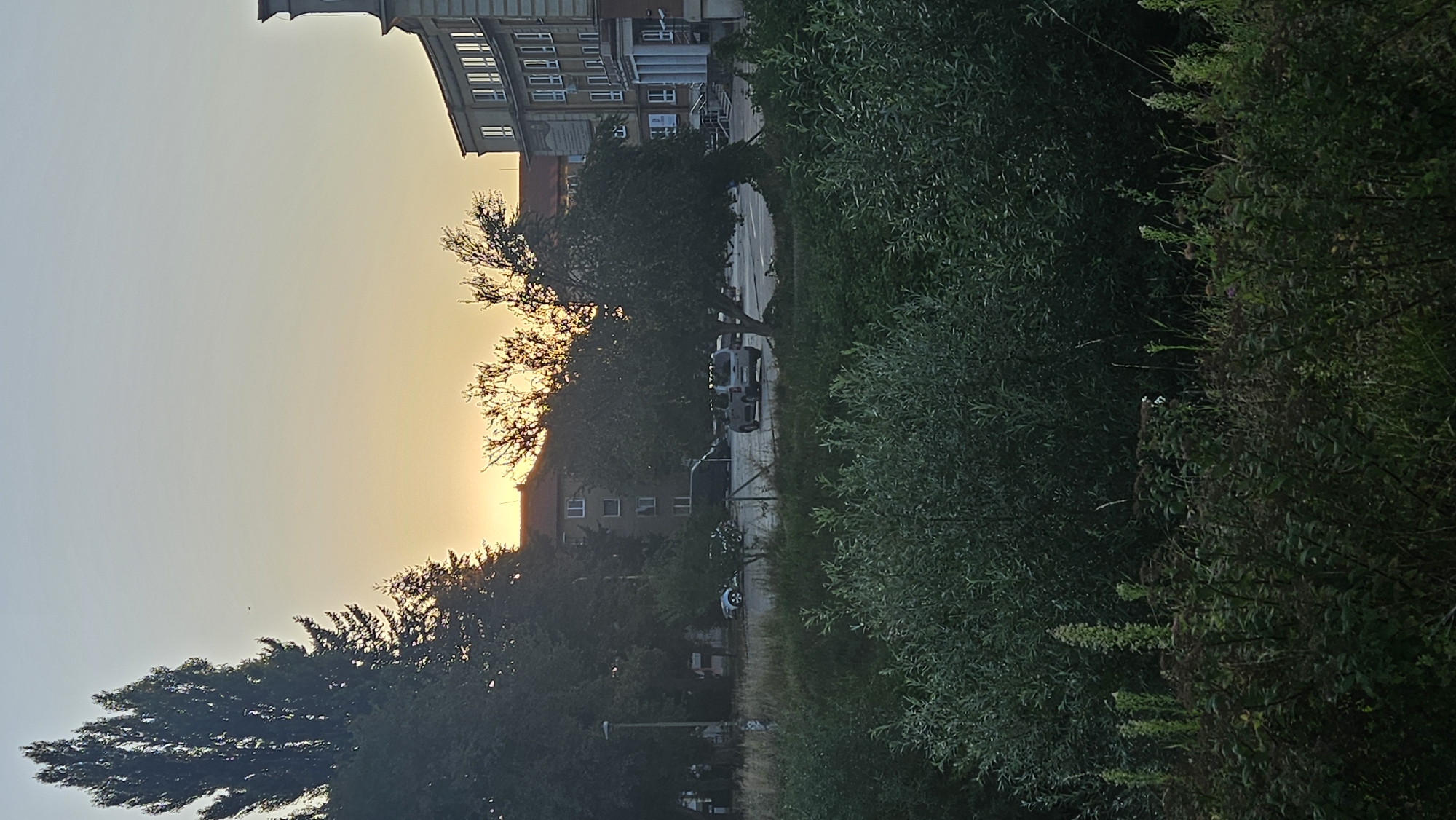 This is a vertical, eye-level, outdoor photograph taken at dusk or dawn in Prešov, Slovakia. The sky is a gradient of light blue at the top to yellow and orange near the horizon. A large, dark green tree with a full canopy is in the center foreground, obscuring much of the middle ground. In the middle ground, there are several buildings and vehicles. To the left, a tall, slender tree with dark green foliage stands prominently. Behind it, a multi-story brick building with visible windows is partially silhouetted against the sky. A street light is visible on the left side of the image. In the center of the middle ground, a parking lot contains several vehicles, including a silver SUV and a dark-colored van. To the right, a large, multi-story building with a light-colored facade, numerous windows, and architectural details like columns and a decorative element at the top, is visible. The foreground is dominated by dense, dark green foliage and some taller, lighter green plants. The overall scene suggests an urban or suburban environment at either sunrise or sunset.