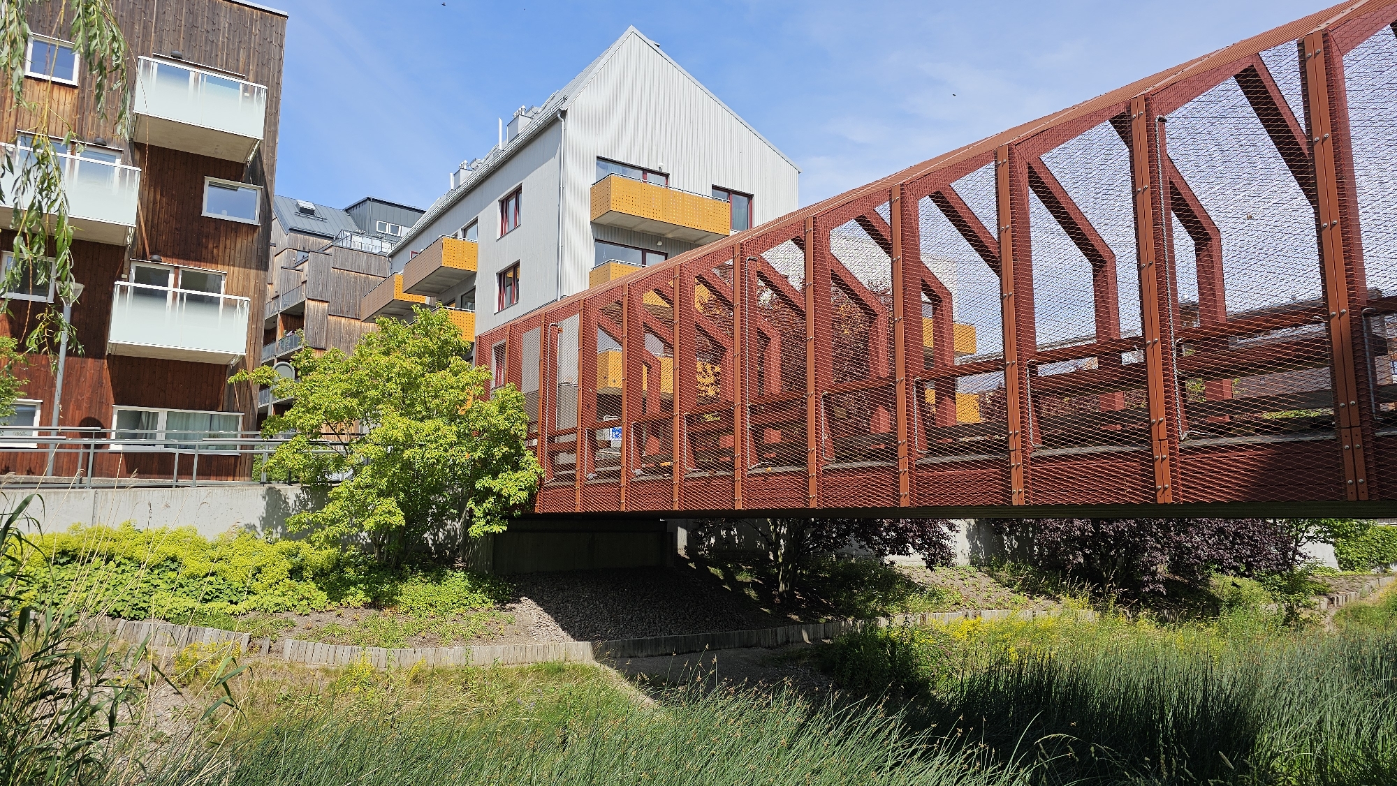This image depicts a modern pedestrian bridge with a rusted red metal frame and mesh fencing, spanning over a small water channel in Linköping, Sweden. The bridge connects to a contemporary building complex characterized by wooden facades, white balconies with glass railings, and orange accent elements on some of the balconies. The complex appears to be residential or office buildings. Green vegetation, including tall grasses and a deciduous tree with bright green foliage, surrounds the bridge and the buildings, suggesting a well-maintained urban green space. The sky is clear and blue, indicating fair weather. There are no people visible in the image. The scene is captured from a low angle, looking up towards the bridge and buildings.