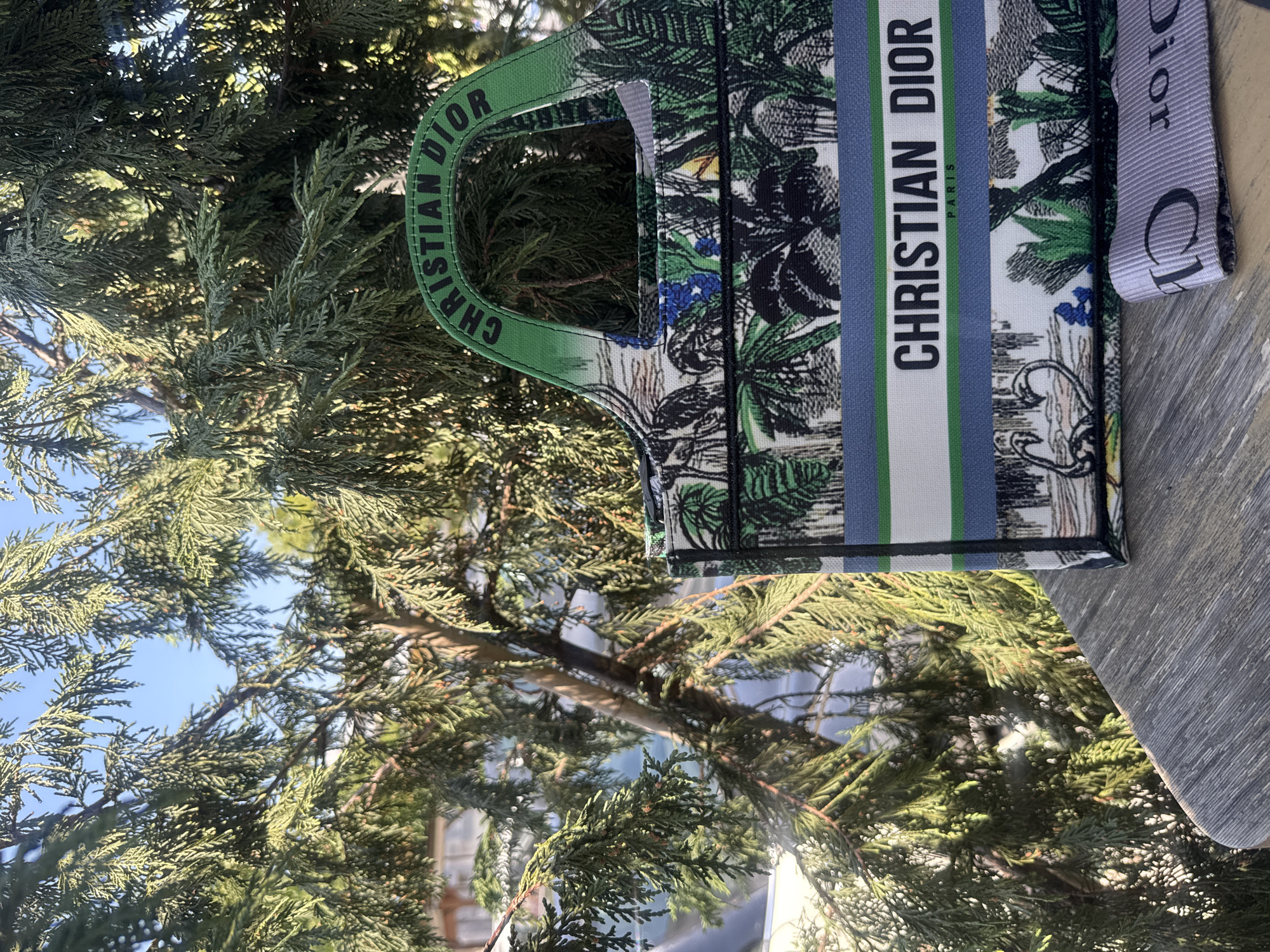 A Dior tote bag with a jungle print and "CHRISTIAN DIOR PARIS" text is placed on a wooden surface in front of a green leafy tree. The bag has green handles with "CHRISTIAN DIOR" text. A ribbon with "Dior" text is also visible. The background shows a tree with green leaves and a clear blue sky. There are no people present.