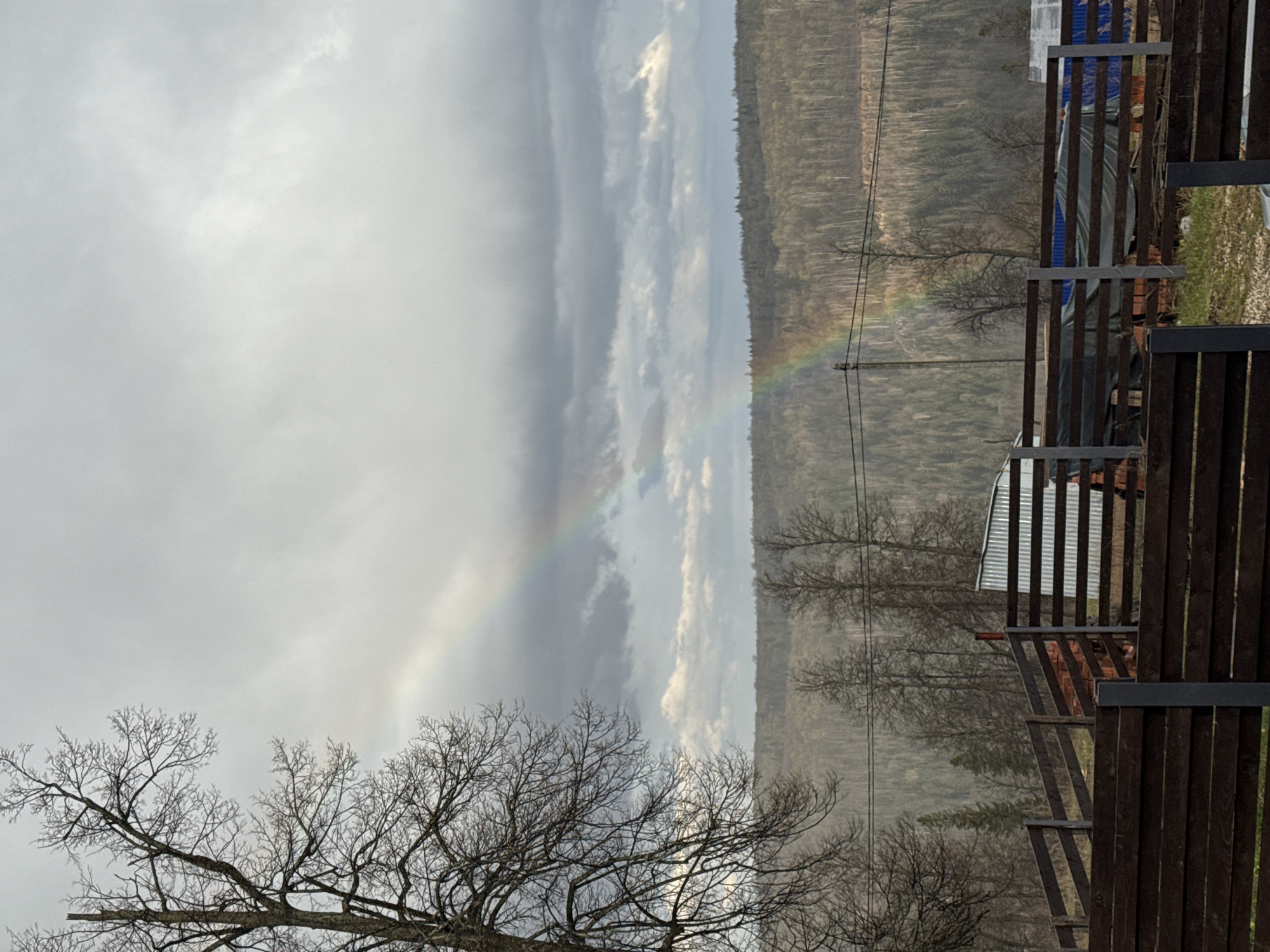 The image captures a rural landscape under a cloudy sky in what appears to be Павловка, Russia. The sky is predominantly overcast with varying shades of grey, but a faint rainbow is visible, arcing across the middle of the frame. In the distance, a dense, dark green forest stretches horizontally, forming a low horizon line.
In the mid-ground, several deciduous trees stand with their branches bare, suggesting late autumn, winter, or early spring. Thin power lines or utility cables traverse horizontally through this section. The foreground on the right features a prominent dark wooden fence or railing. Behind this barrier, parts of a structure are visible, including a corrugated metal roof, some reddish brickwork, and a blue tarp or covering. The ground beneath the fence shows sparse, dry grass.
The scene depicts a moment of changing weather, with the presence of a rainbow indicating both recent rain and the sun breaking through the clouds. There are no discernible people or visible text in the image. The overall impression is one of a quiet, somewhat muted day in a natural, semi-developed setting.