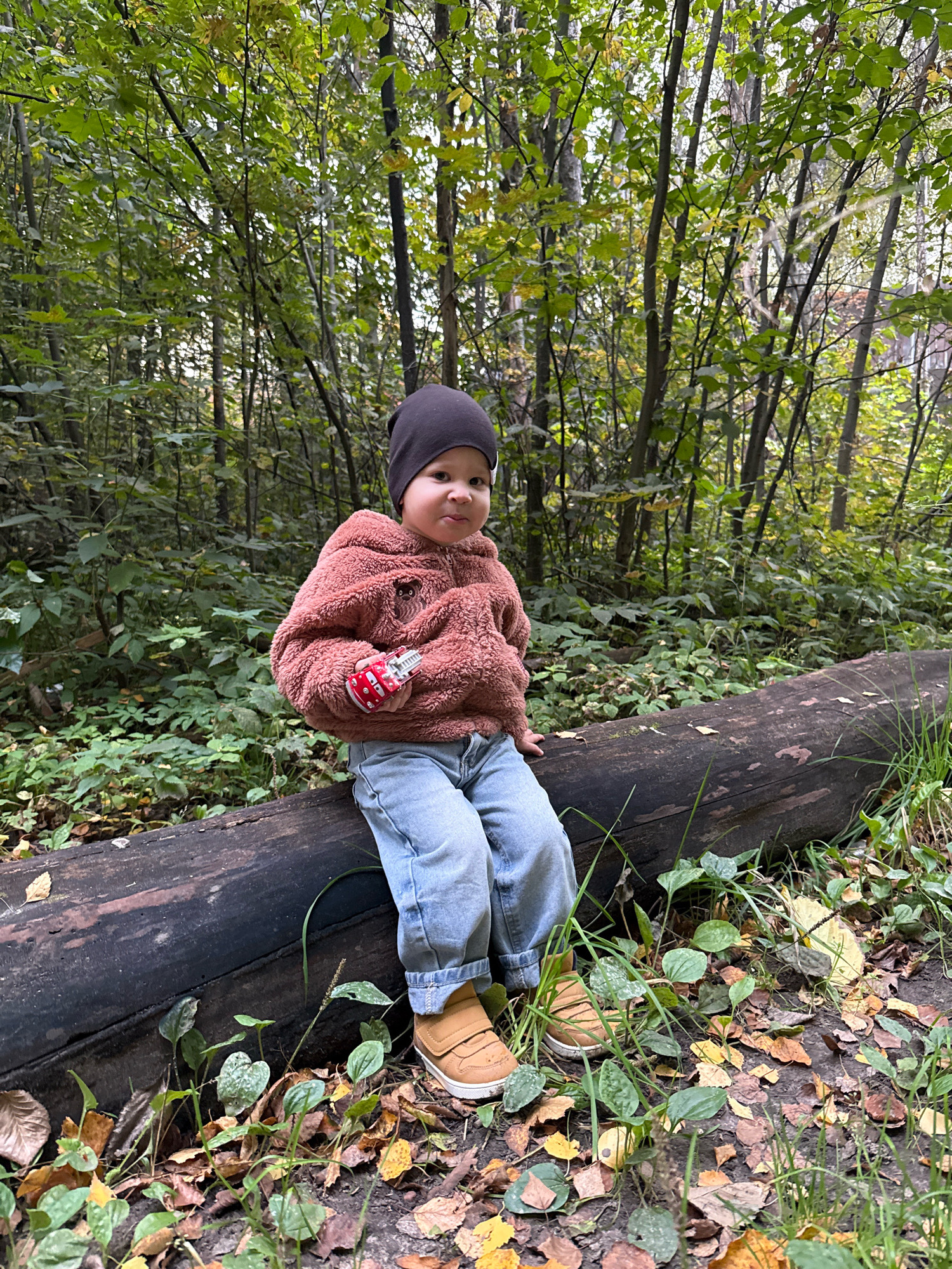 A young child, wearing a brown fuzzy hooded jacket, light blue jeans, and a dark beanie, sits on a fallen log in a forest. The child is holding a small red toy car in their right hand and looking towards the camera with a slight smile. The forest floor is covered with fallen leaves and green foliage. The background consists of dense trees with green and yellow leaves, indicating it is likely autumn. The location is specified as Rusanovo, Russia.