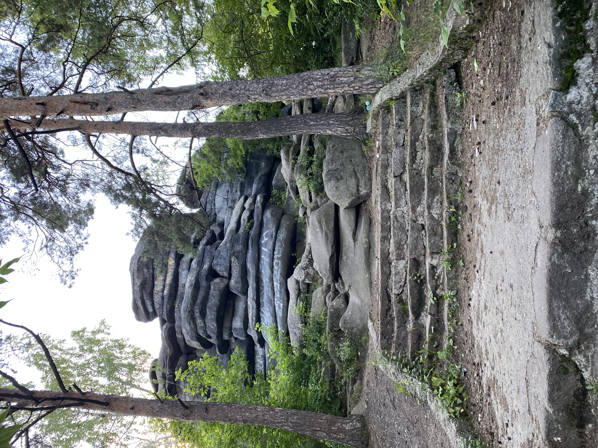 The image depicts a natural outdoor scene in Yekaterinburg, Russia, featuring a rugged rock formation and a stone staircase. The rock cliff is imposing, with vertical striations and weathered surfaces, some of which are marked with graffiti. Lush green foliage sprouts from crevices in the rocks and surrounds their base. In the foreground, three large pine trees with textured bark extend across the frame, their branches creating a canopy.
A stone staircase, showing signs of age and wear, ascends alongside the rock formation. The steps are uneven and partially overgrown with grass and small plants. The path leading to the staircase appears to be dirt or gravel, with scattered pinecones and debris. The overall impression is one of a wild, somewhat untamed natural area, possibly a park or a hiking trail, enhanced by the man-made elements of the stairs and the graffiti on the rocks.
The lighting suggests it is daytime, likely late afternoon or early evening given the soft quality of light. The weather appears to be fair, with no indication of rain or strong winds. The scene evokes a sense of natural beauty and history, with the graffiti adding a layer of human presence to the ancient rocks. The image is oriented vertically, which emphasizes the height of the rock formation and trees. No people are visible in the frame. There is visible text in the form of graffiti on the rocks, but it is not legible.