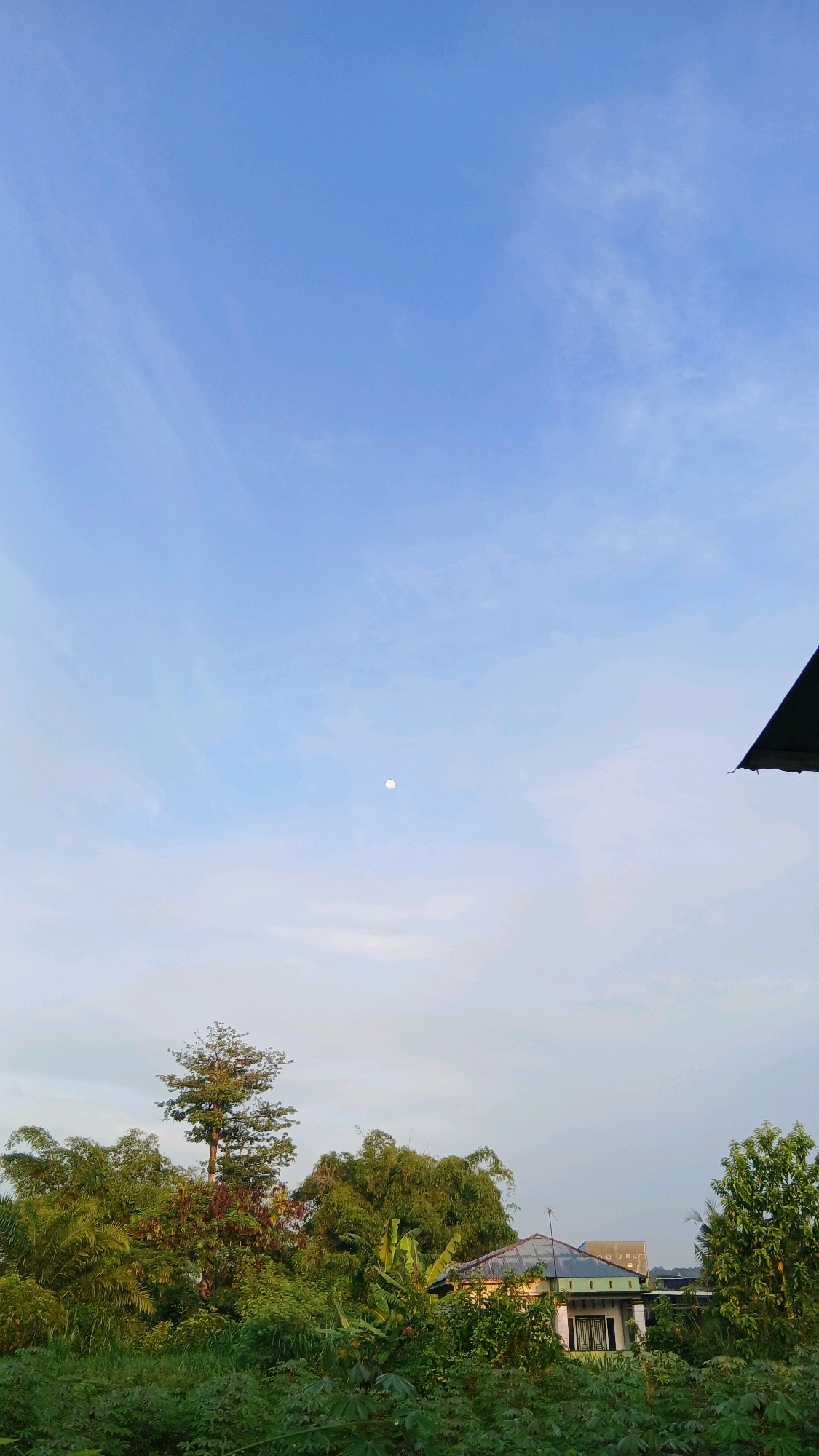 The image depicts a rural landscape under a bright, clear blue sky with scattered wispy clouds. In the upper portion of the frame, a small, distant full moon is visible. The middle ground is dominated by lush green vegetation, including a variety of trees, some with dense foliage and others with more slender, pointed tops. Among the trees, the roof of a small building, possibly a house, is partially visible. The building appears to have a light-colored facade and a dark-colored roof. The foreground consists of dense greenery, suggesting a natural or cultivated area. The scene conveys a sense of calm and open space. The location is identified as Klambir Lima Kebun, Indonesia.