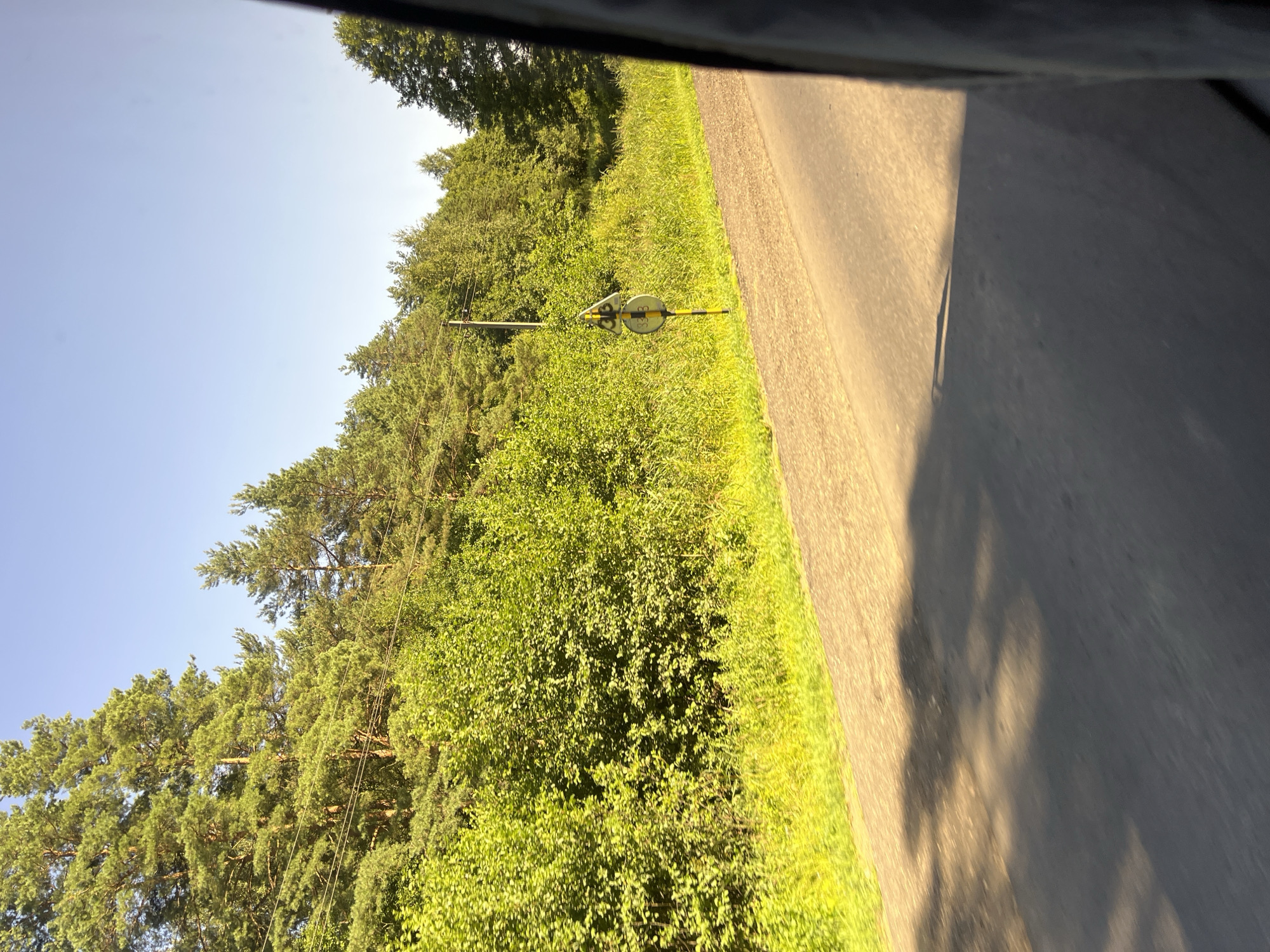 A sunlit, asphalt road runs through a rural landscape, bordered by lush green vegetation and tall pine trees. A yellow and black striped pole with two circular signs is positioned by the side of the road. The signs are primarily yellow with black symbols and text, one appearing to be a triangle with a symbol, and the other a circle with a numerical inscription. The sky is clear and blue. The image captures a scene from within a vehicle, as evidenced by the dark, blurred edge on the right side of the frame. The time of day appears to be late afternoon, with long shadows cast across the road. The location is identified as Yun'kovskiy Sel'skiy Sovet, Belarus.