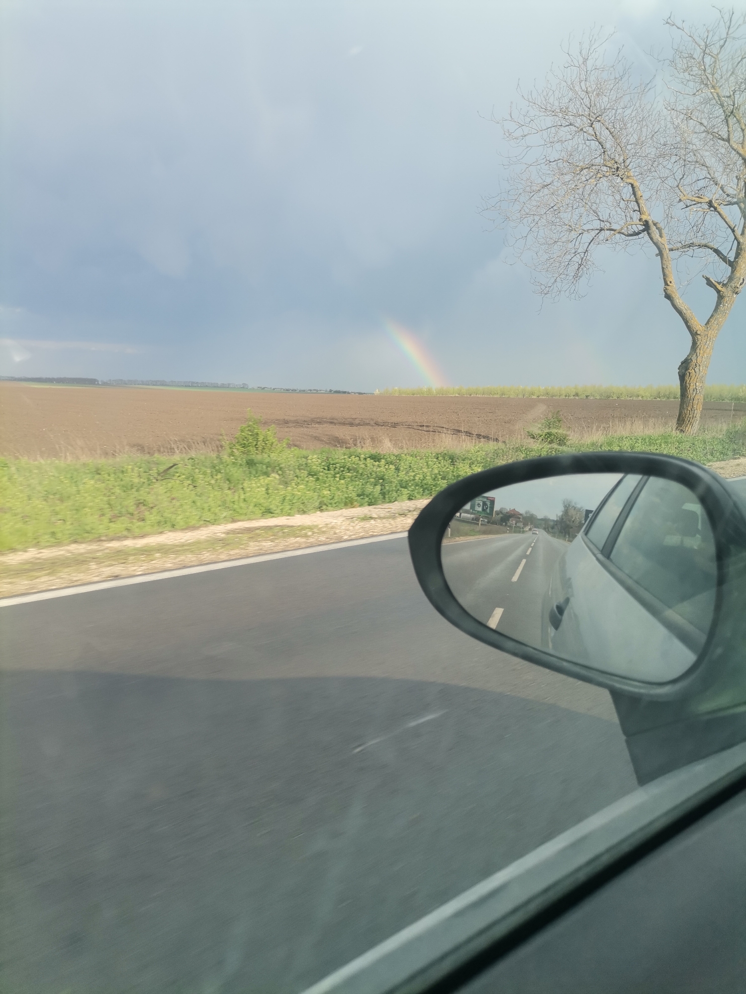 The image presents a view from inside a moving vehicle on a rural road, with a strong focus on the landscape and a car's side mirror. On the left side of the frame, expansive, freshly tilled brown agricultural fields are visible, bordered by a strip of green vegetation next to the asphalt road. In the distance over these fields, a vibrant rainbow arcs across a partially overcast sky, suggesting recent rain. To the right, a prominent deciduous tree with bare branches stands against the sky, indicating a late winter or early spring season.
The car's side mirror occupies a significant portion of the lower right, reflecting the road ahead, which appears to lead through a village or populated area with scattered buildings and more trees. The reflection also shows part of the vehicle's own body. The road itself is gray asphalt with a clear white line marking its edge. The scene captures a moment of travel through an agricultural area, likely in Branishte, Bulgaria, under a changeable sky. No discernible text is visible in the image.