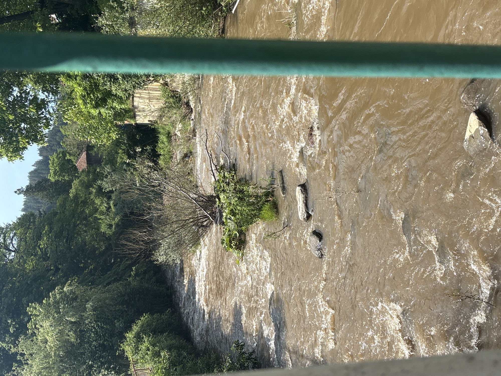 The image depicts a turbulent, muddy brown river flowing through a heavily vegetated natural environment in Unknown, Unknown. The river occupies the central and lower portions of the frame, characterized by numerous visible currents and white froth on its surface, indicating a significant flow rate. Several dark rocks are scattered throughout the riverbed, some partially submerged and others breaking the water's surface. In the mid-ground, within the river, a cluster of green bushes and small, bare-branched trees grows on a small landmass.
The riverbanks are densely covered with lush green foliage, primarily deciduous trees and thick undergrowth. The left bank is almost entirely obscured by a continuous mass of green trees extending upwards. On the right bank, a substantial retaining wall, appearing to be constructed from stone or concrete, is partially visible and covered with climbing plants. Above this wall and further into the background, a small building with a distinctive reddish-brown tiled roof is discernible amidst the dense canopy of trees.
The scene is illuminated by bright sunlight, casting highlights on the water's surface and clearly defining the greenery. The upper portion of the background reveals a clear blue sky with minimal cloud cover, and distant hills or mountains are also heavily forested. The foreground features two vertical elements: a light grey pillar on the far left and a prominent, cylindrical dark green post on the far right, indicating the photograph was taken from a raised structure, possibly a bridge or observation point. No people, animals, or artificial structures other than the retaining wall and partial building are explicitly visible within the immediate river scene.